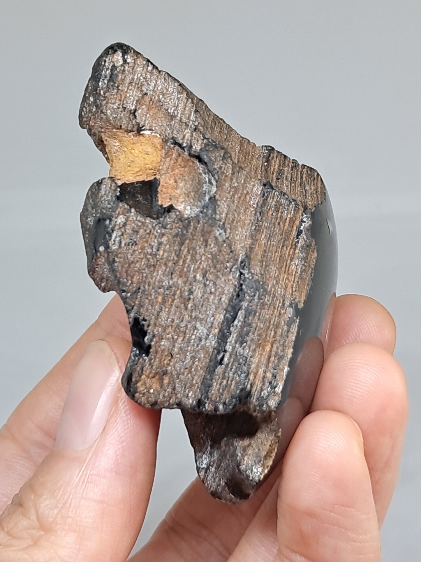 Rainbow Obsidian (Mexico) Natural Stone | Half Polished Half Rough #RO9