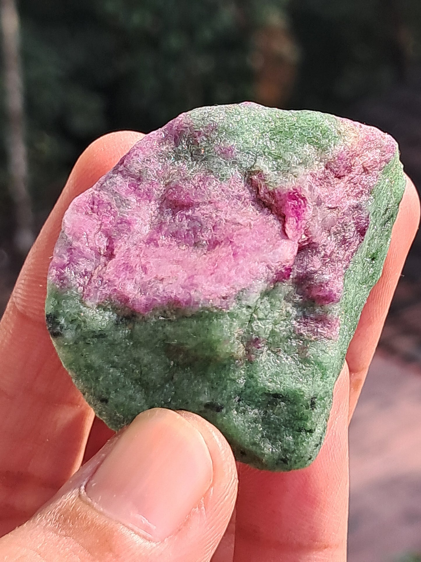 Ruby Zoisite w/ Hornblende (Tanzania) Rough Stone | Natural Specimen #RZ10