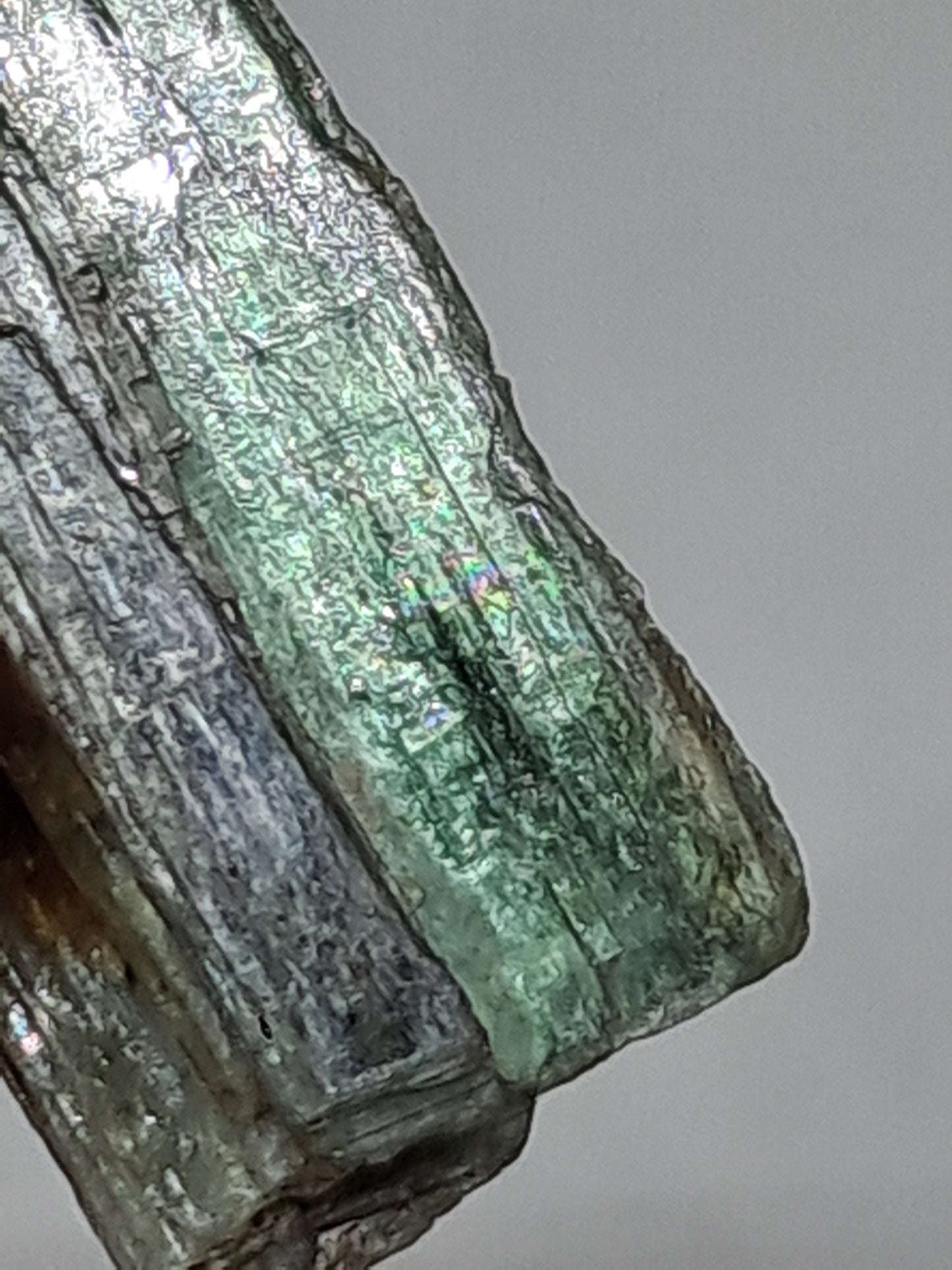 Green Kyanite (Tamil Nadu) Natural Crystal #KY8