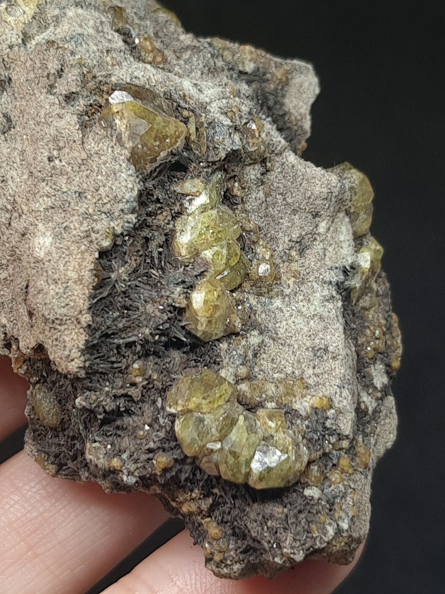 Green Garnet w/ Aegirine (Acmite) on Matrix (Mexico) Andradite Garnet Cluster |Rough Crystal Stone | Mineral Specimen #GR30