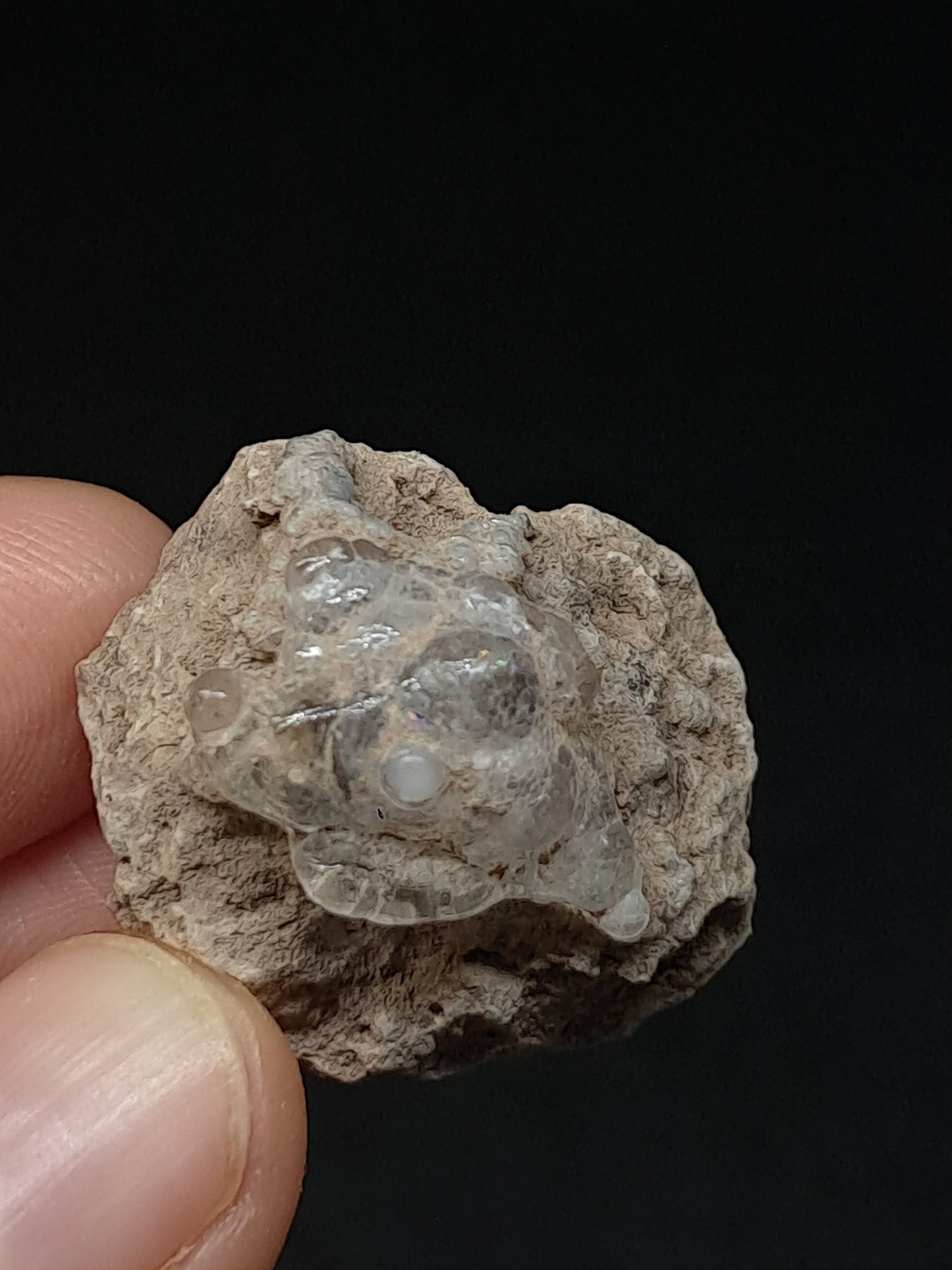 Hyalite Opal on Matrix (Mexico) Rough Crystal Stone | UV-Reactive Mineral Specimen #OH10