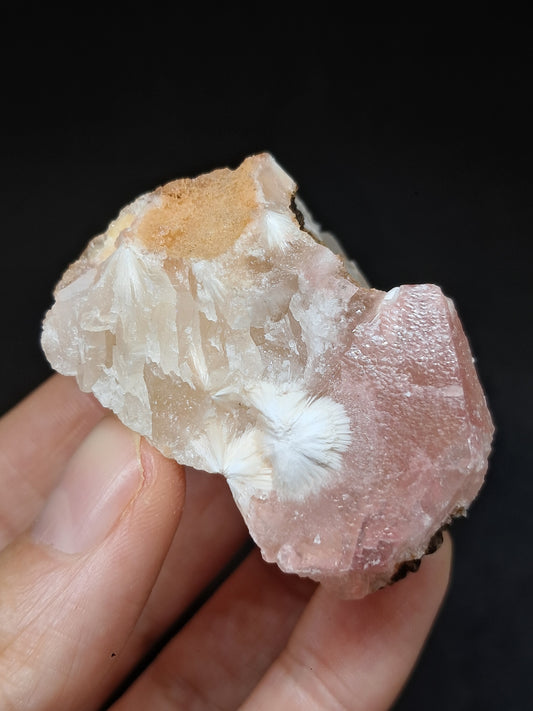 Reddish/Pink Calcite w/ Mesolite *Rare Find* (Pithampur) Natural Crystal | Rough Stone | Mineral Specimen #CA34