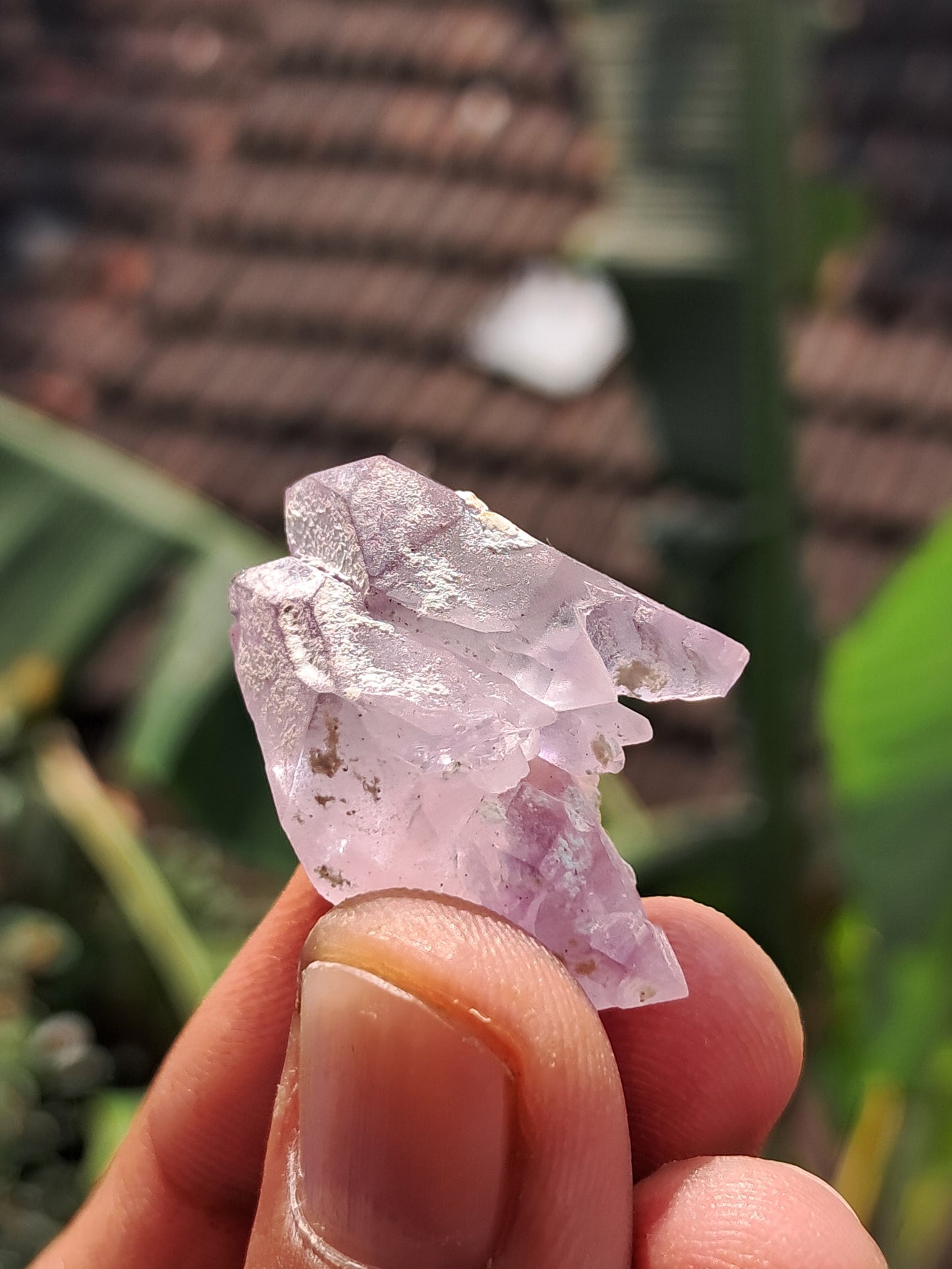 Amethyst Scepter cluster from Karur | Natural Crystal | Mineral Specimen #KA176