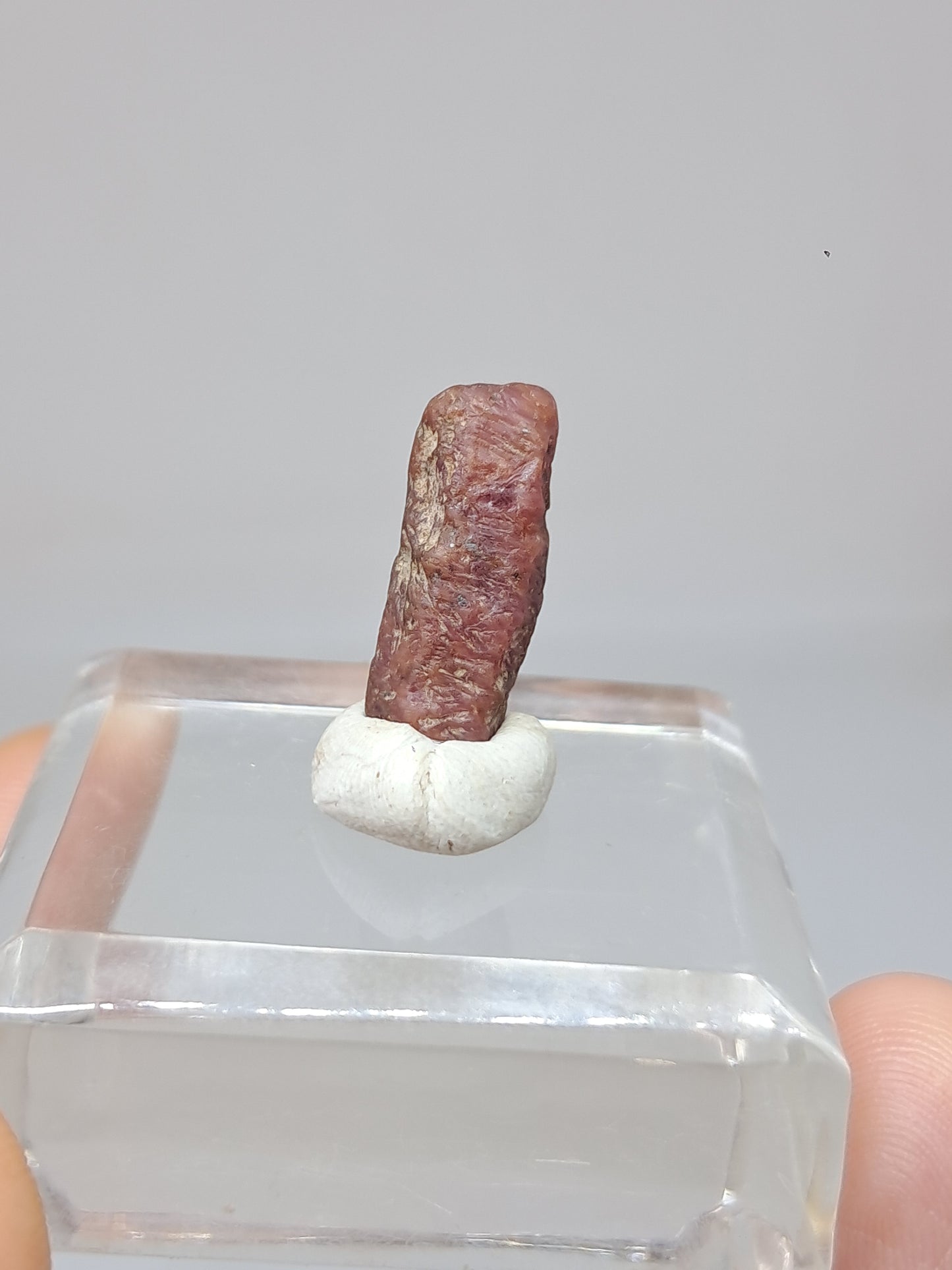 Cristal de rubí en bruto (Tamil Nadu) Piedra natural | Muestra mineral #RB27