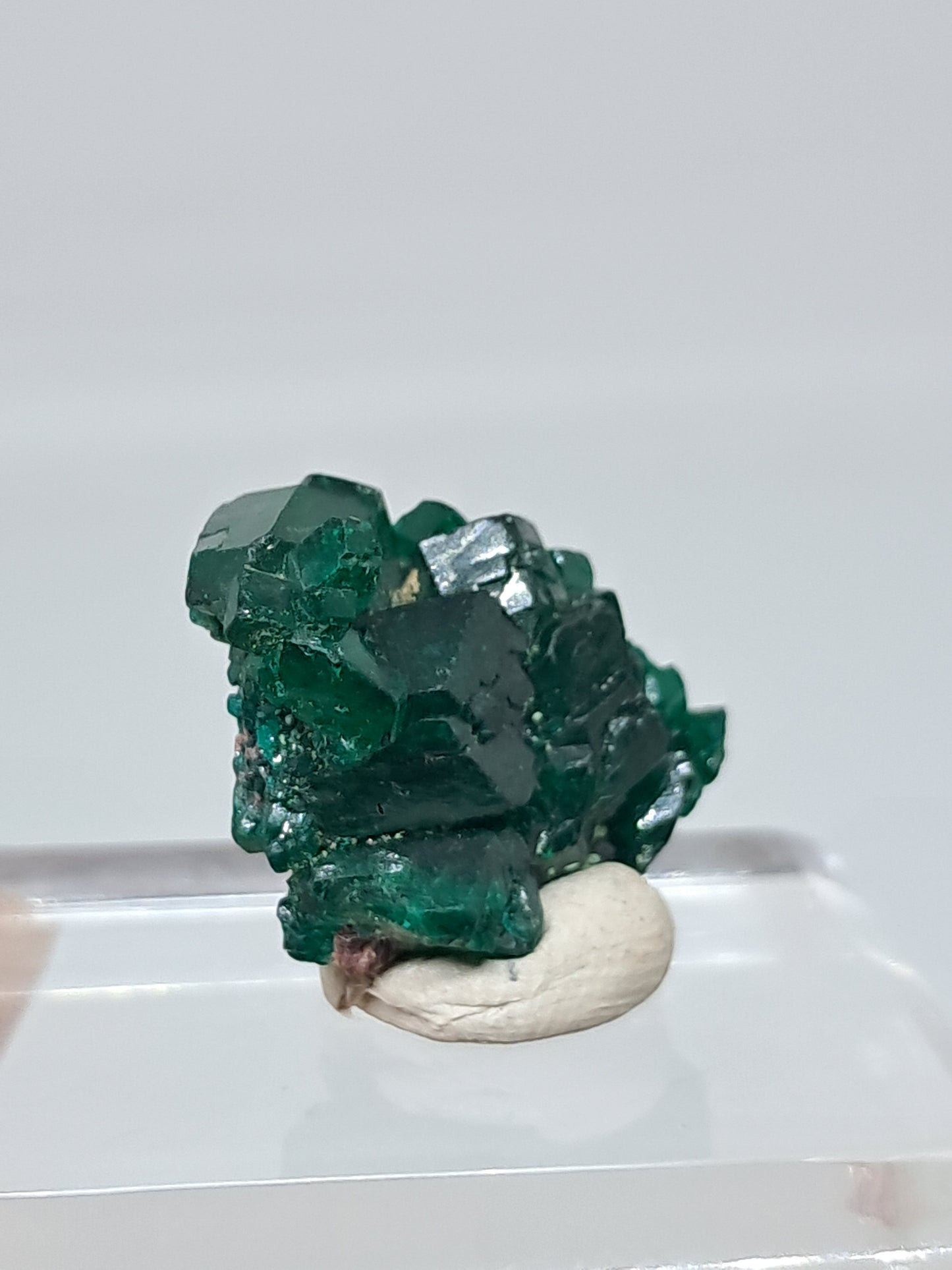 Cúmulo natural de dioptasa (República Democrática del Congo) | Cristal en bruto | Ejemplar mineral n.° DPT3
