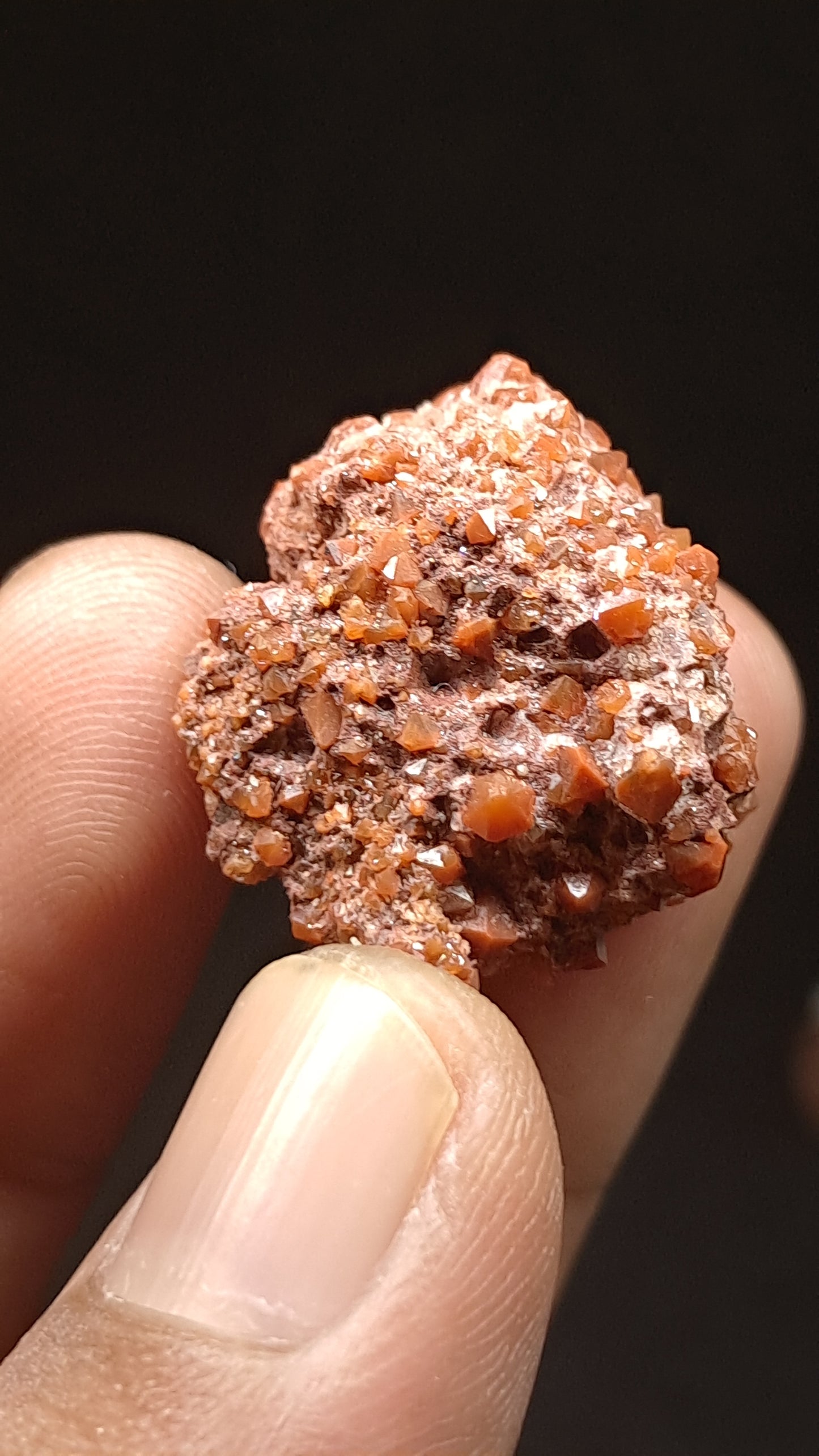 Jacinto de Compostela Quartz On Matrix | Natural Crystal | Mineral Specimen #JCQ9