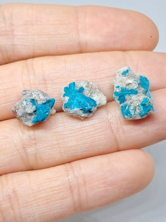 Set of 3 Small Cavansites on Heulandite Matrix (Wagholi) Rough Stone | Natural Crystal | Rare Mineral Specimen #CV44