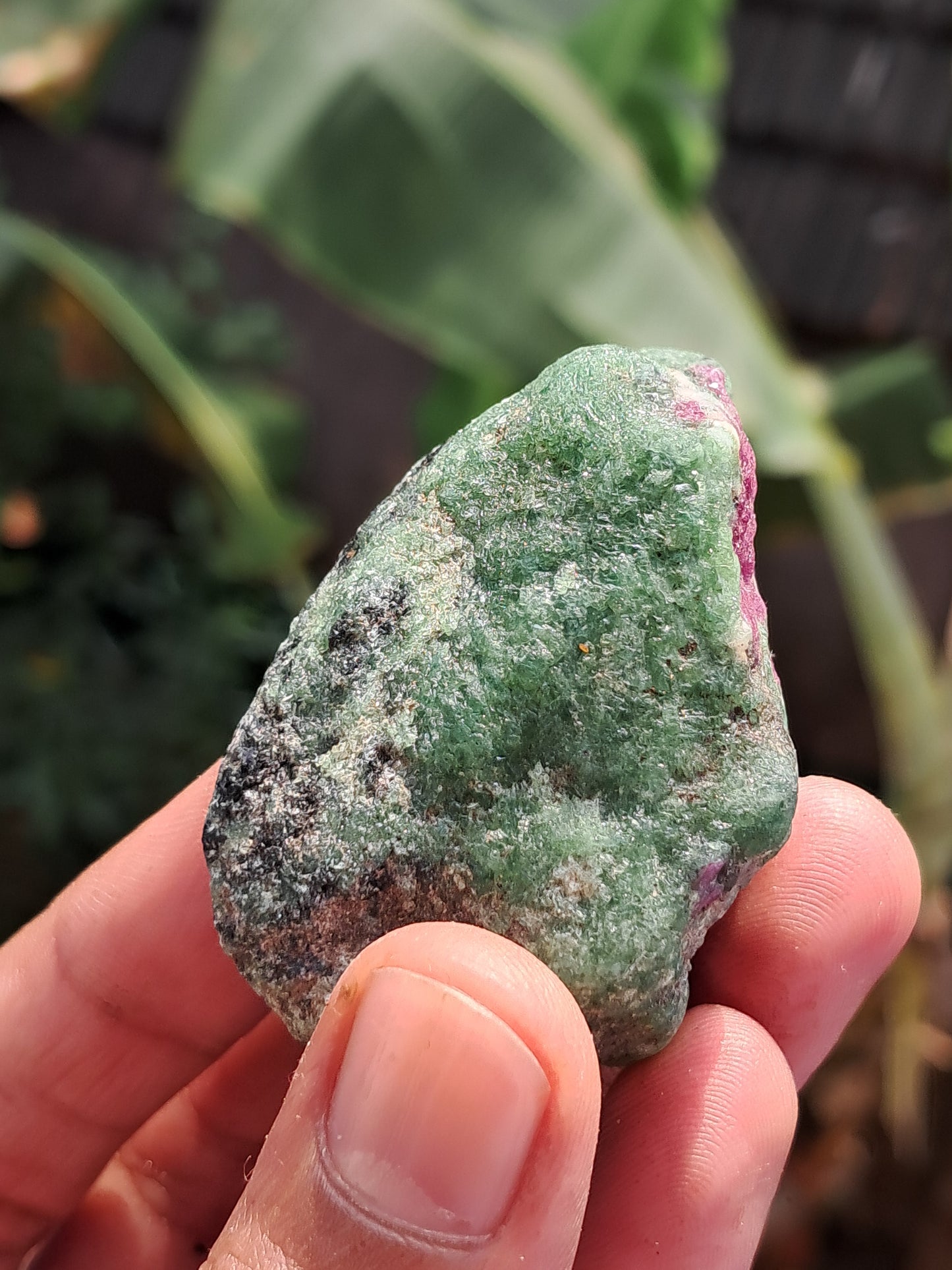 Ruby Zoisite w/ Hornblende (Tanzania) Rough Stone | Natural Specimen #RZ7
