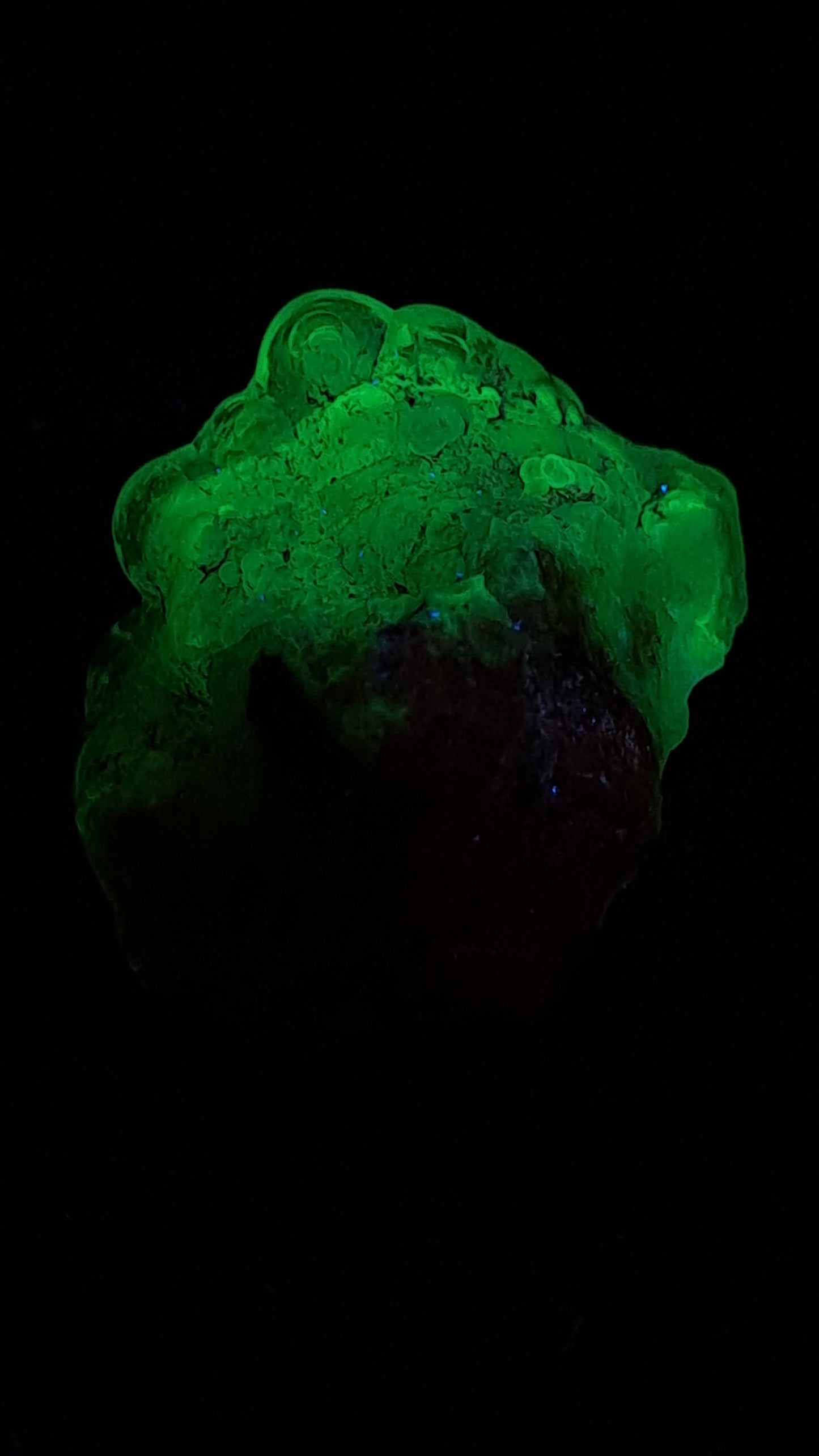Hyalite Opal on Matrix (Mexico) Rough Crystal Stone | UV-Reactive Mineral Specimen #OH3