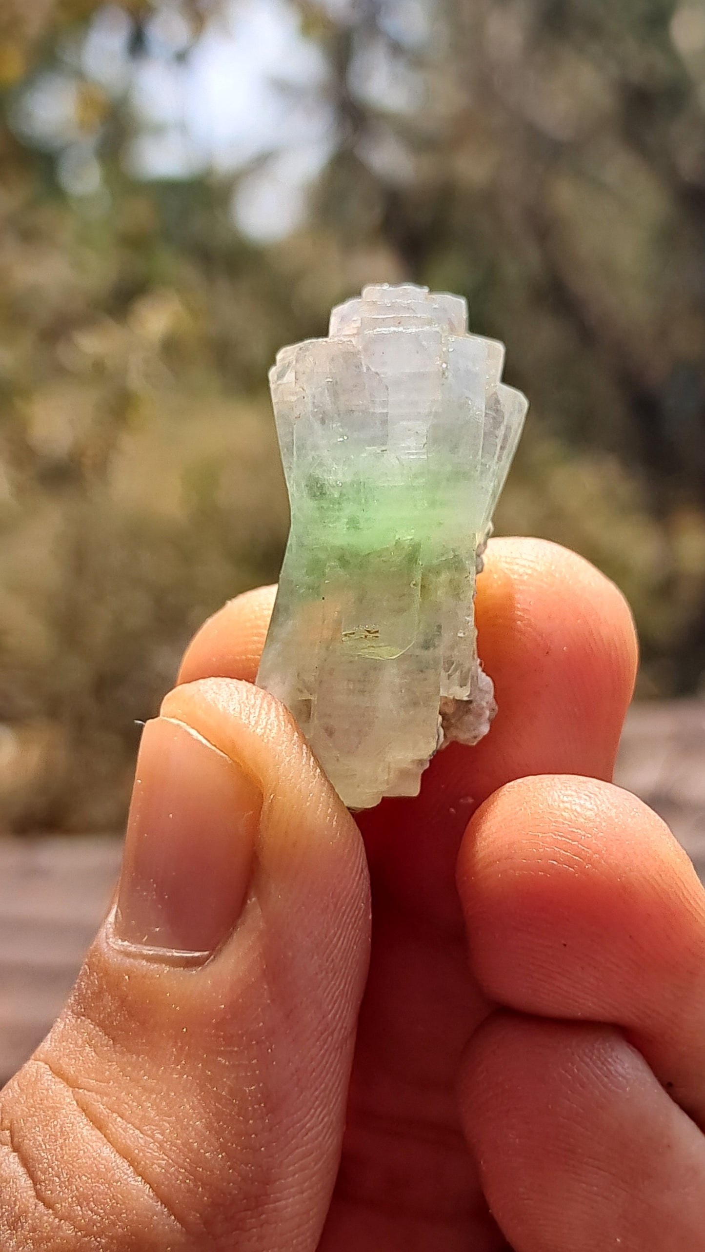Green Apophyllite (Fluorapophyllite) (Ajanta) Natural Crystal | Mineral Specimen #GA31