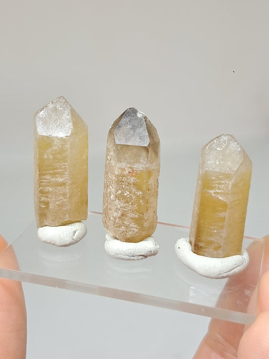 Set of 3 Natural Citrine Crystal Points w/ Phantoms (Karur) #CTN35