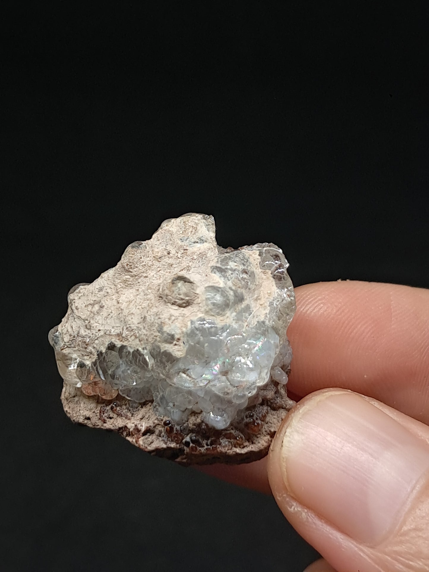 Hyalite Opal on Matrix (Mexico) Rough Crystal Stone | UV-Reactive Mineral Specimen #OH16