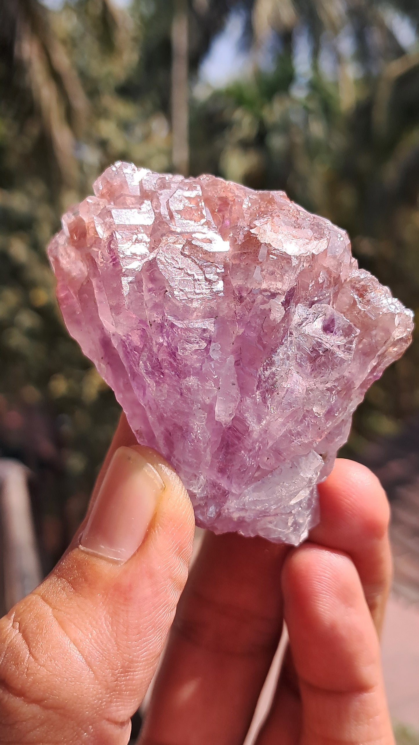 Karur Amethyst Scepter Cluster | Honeycomb Terminations | "Super Seven" inclusions | Mineral Specimen #KA186