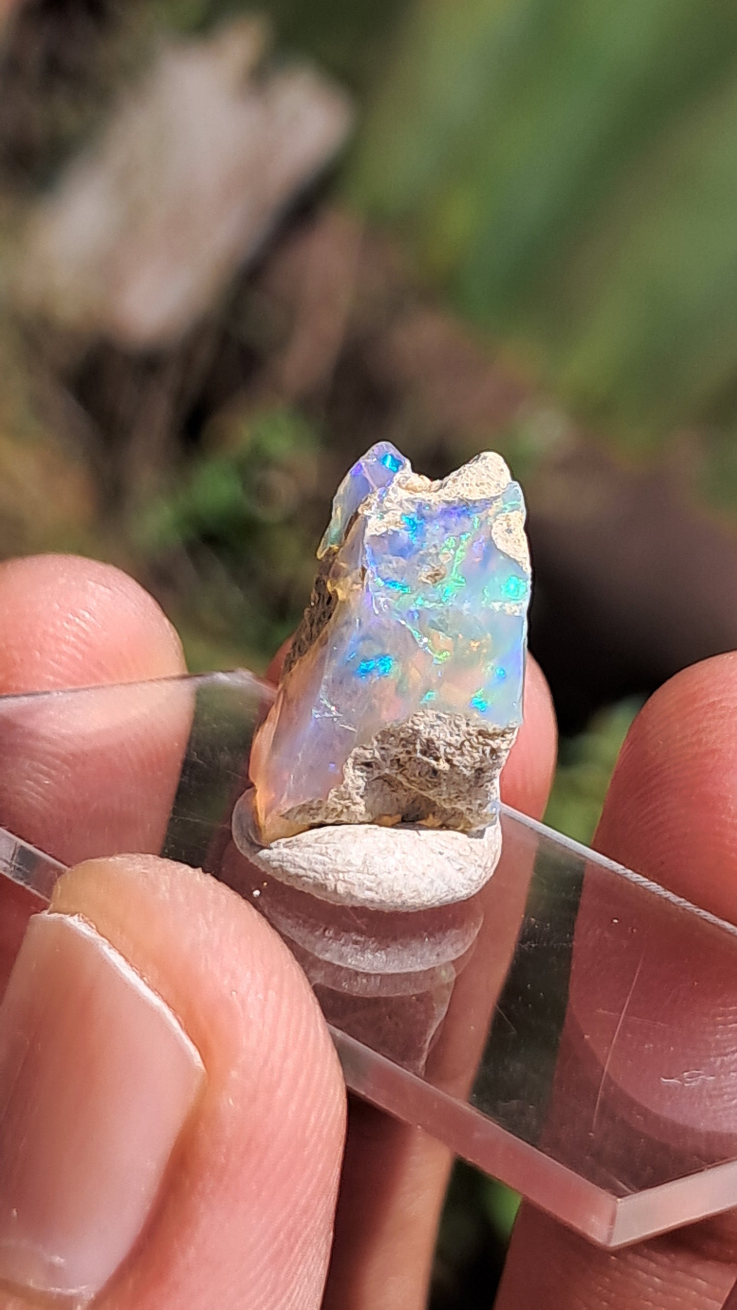 Natural Ethiopian Opal Rough | White Hydrophane Opal w/ Bright Play of Color #OP1