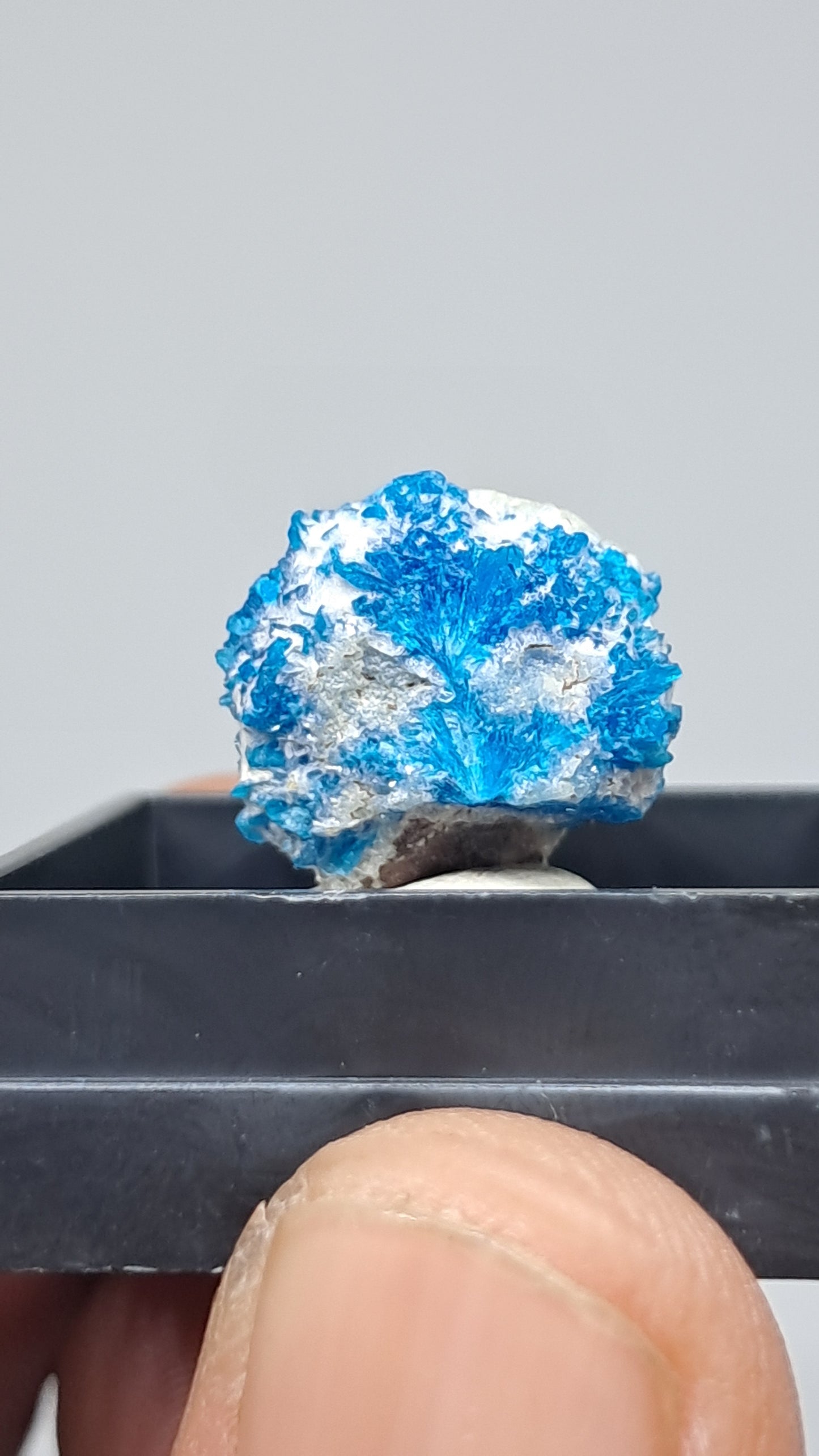 Pentagonita en Matriz de Heulandita (Wagholi) Cristal en Bruto | Piedra Natural | Raro Espécimen Mineral #CV72