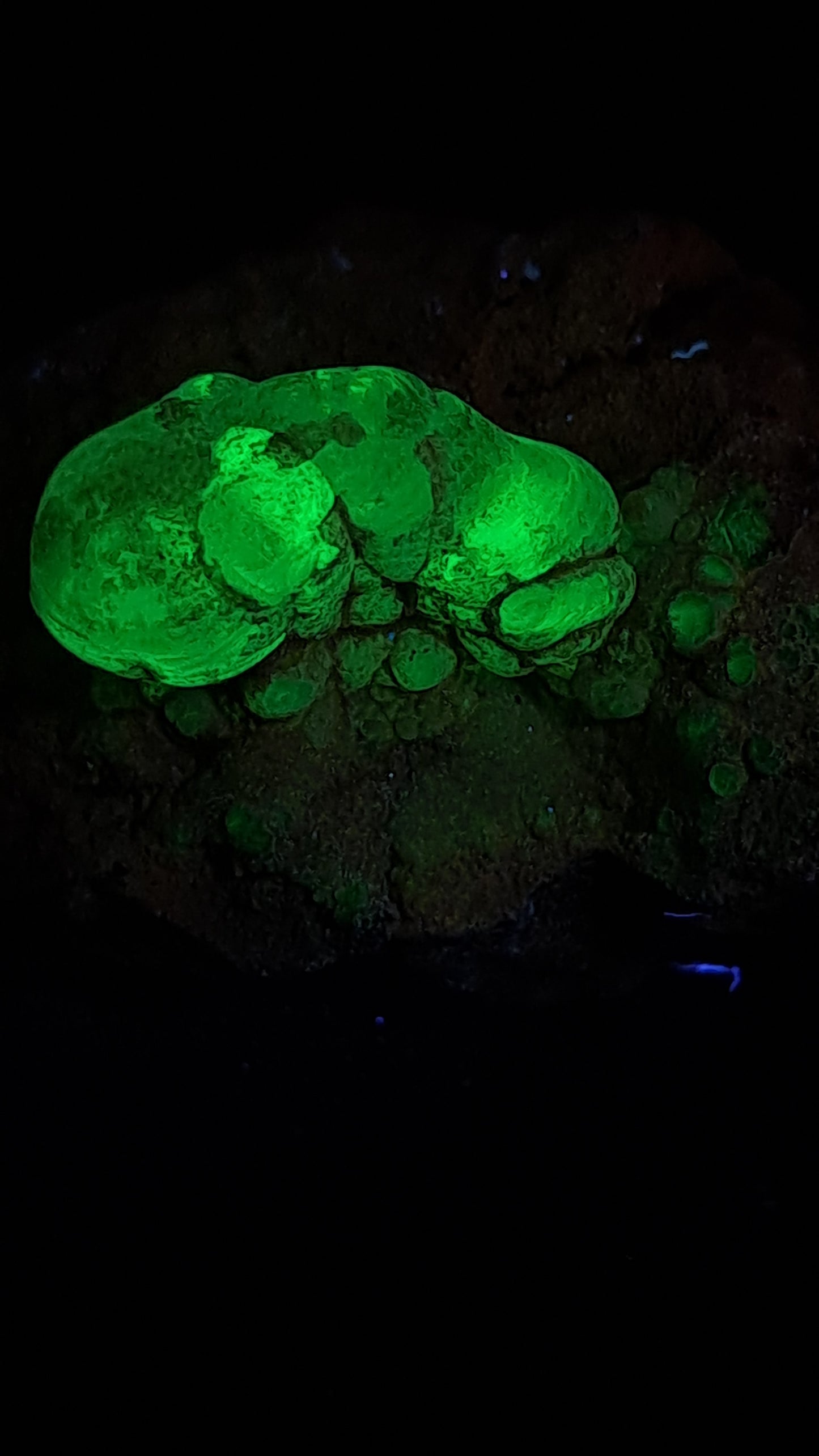 Hyalite Opal on Matrix (Mexico) Rough Crystal Stone | UV-Reactive Mineral Specimen #OH5