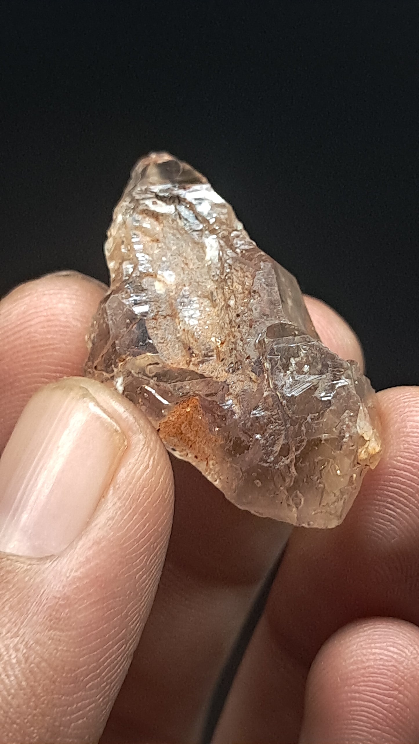 Smokey Amethyst Biterminated Scepter (Karur) Raw Natural Crystal | Mineral Specimen #EQ29