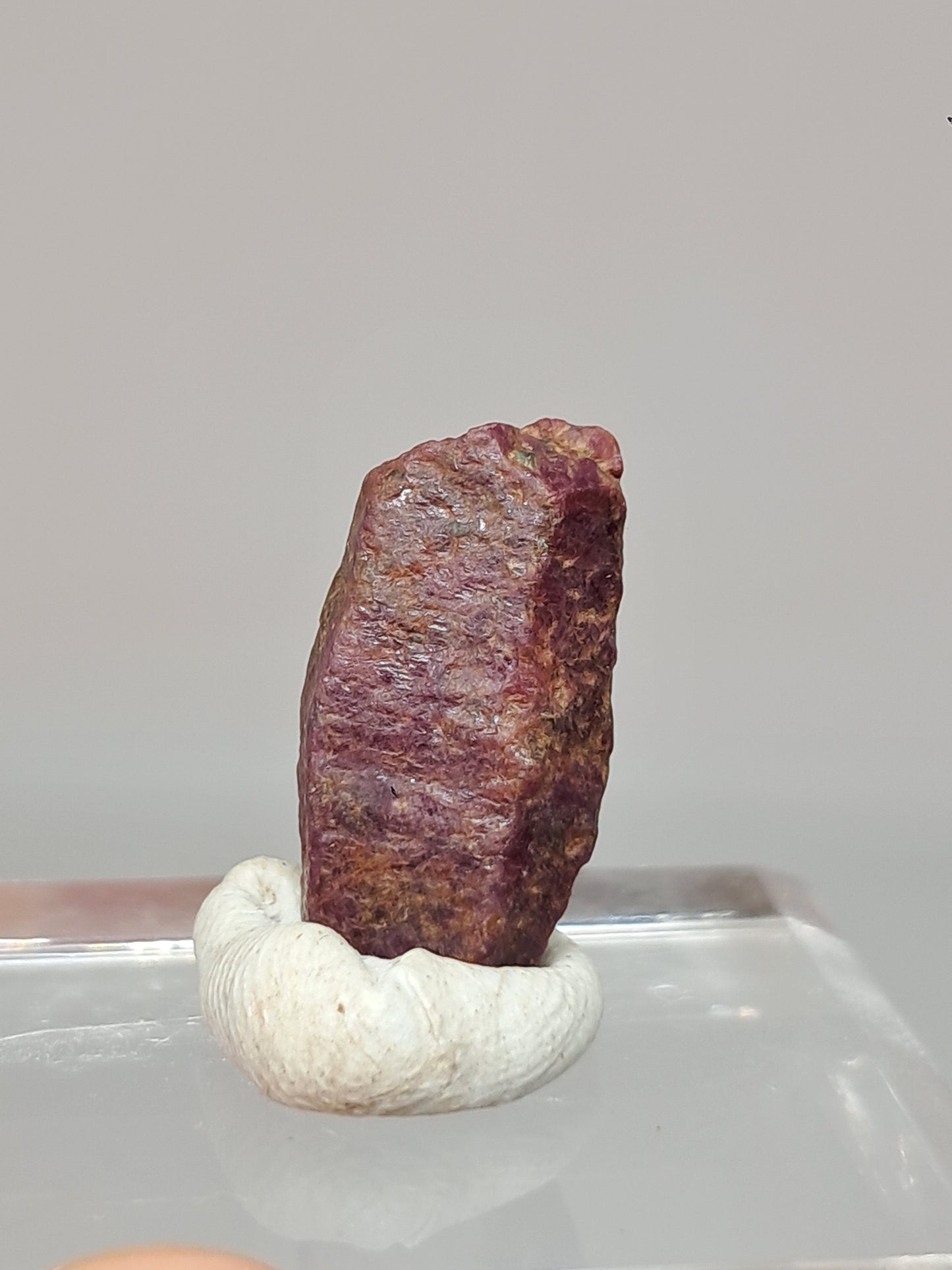 Cristal de rubí en bruto (Tamil Nadu) Piedra natural | Muestra mineral #RB28