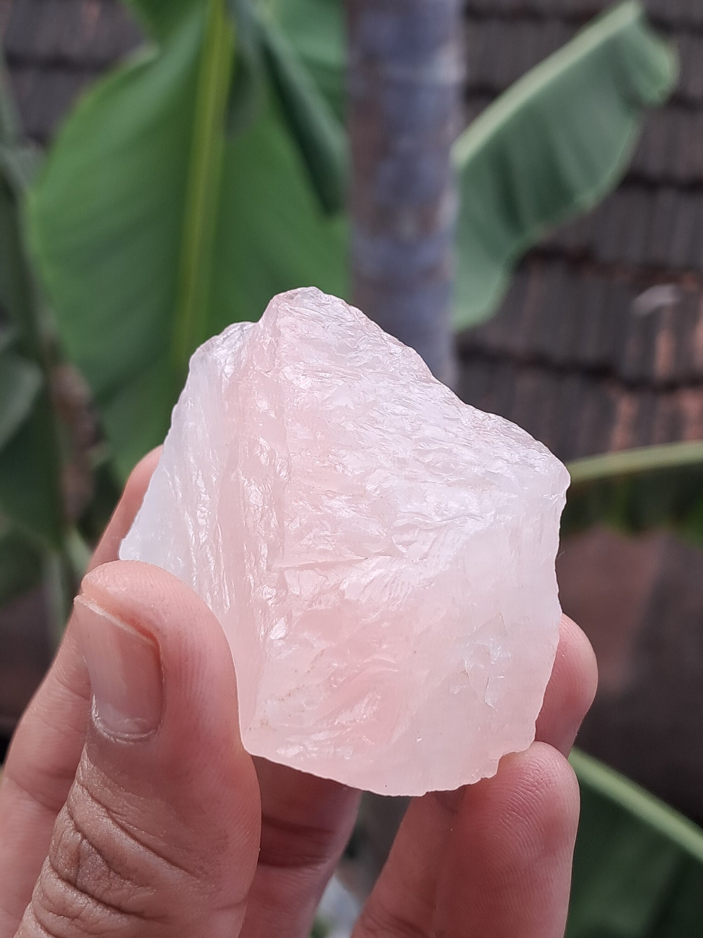 Rose Quartz (Rajasthan) Rough Stone | Natural Gemstone #RQ12