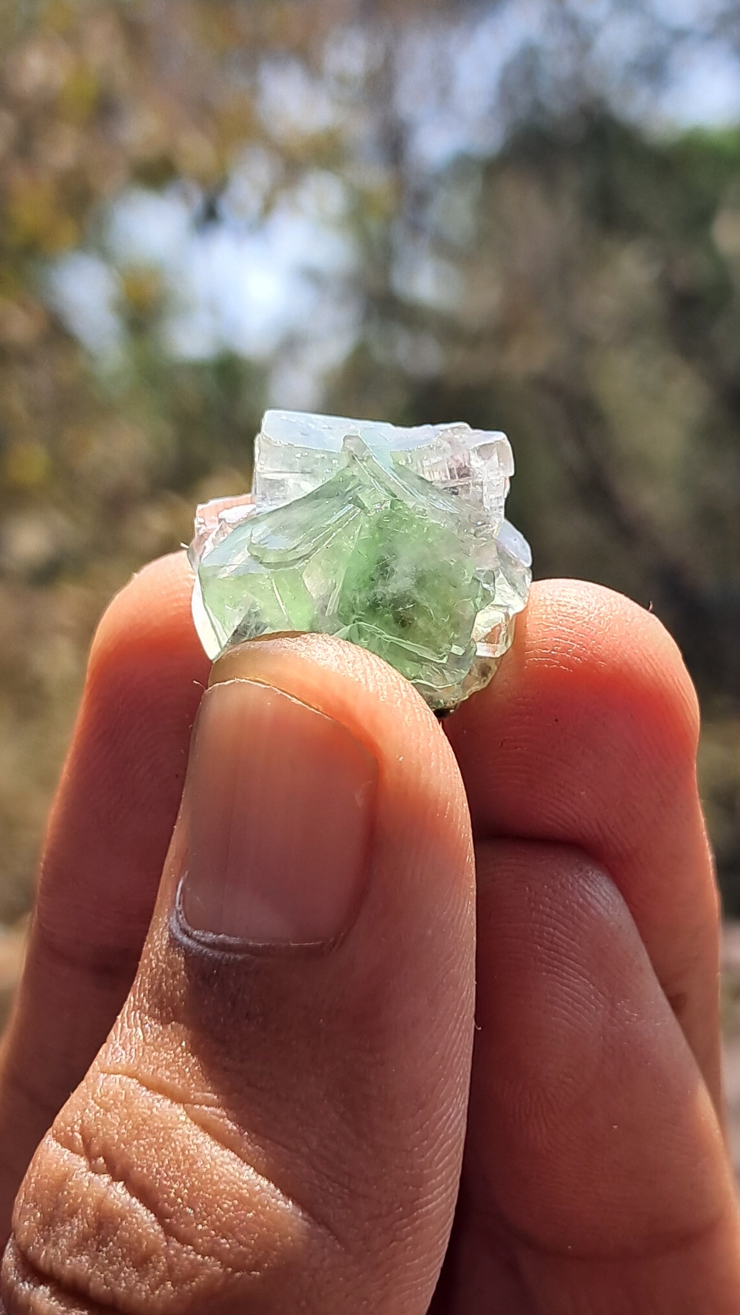 Green Apophyllite Flower (Fluorapophyllite) (Ajanta) Natural Crystal | Mineral Specimen #GA32