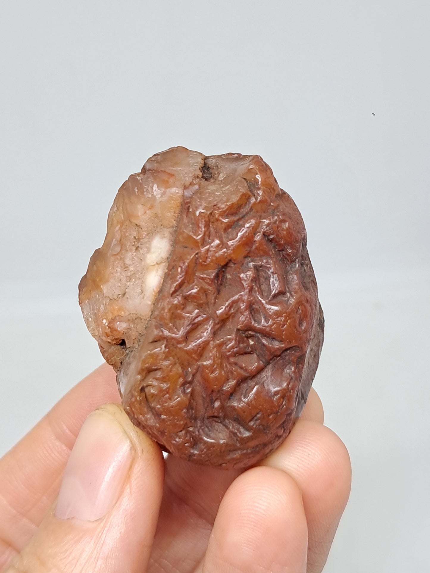 Rough Carnelian (India) Raw Stone | Natural Crystal | Mineral Specimen #CRN30