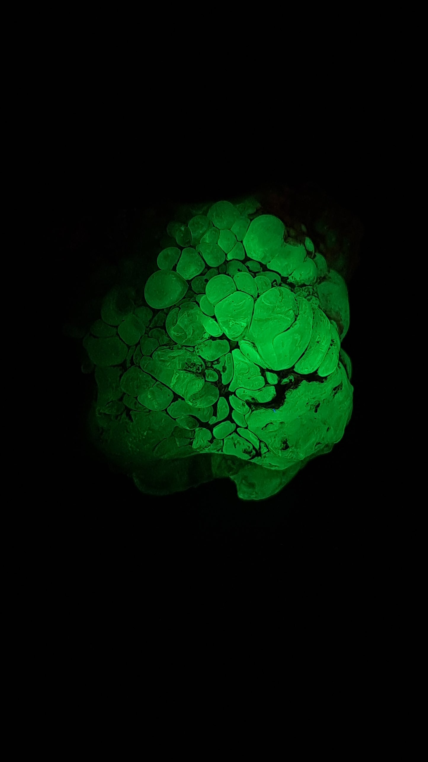 Hyalite Opal on Matrix (Mexico) Rough Crystal Stone | UV-Reactive Mineral Specimen #OH7