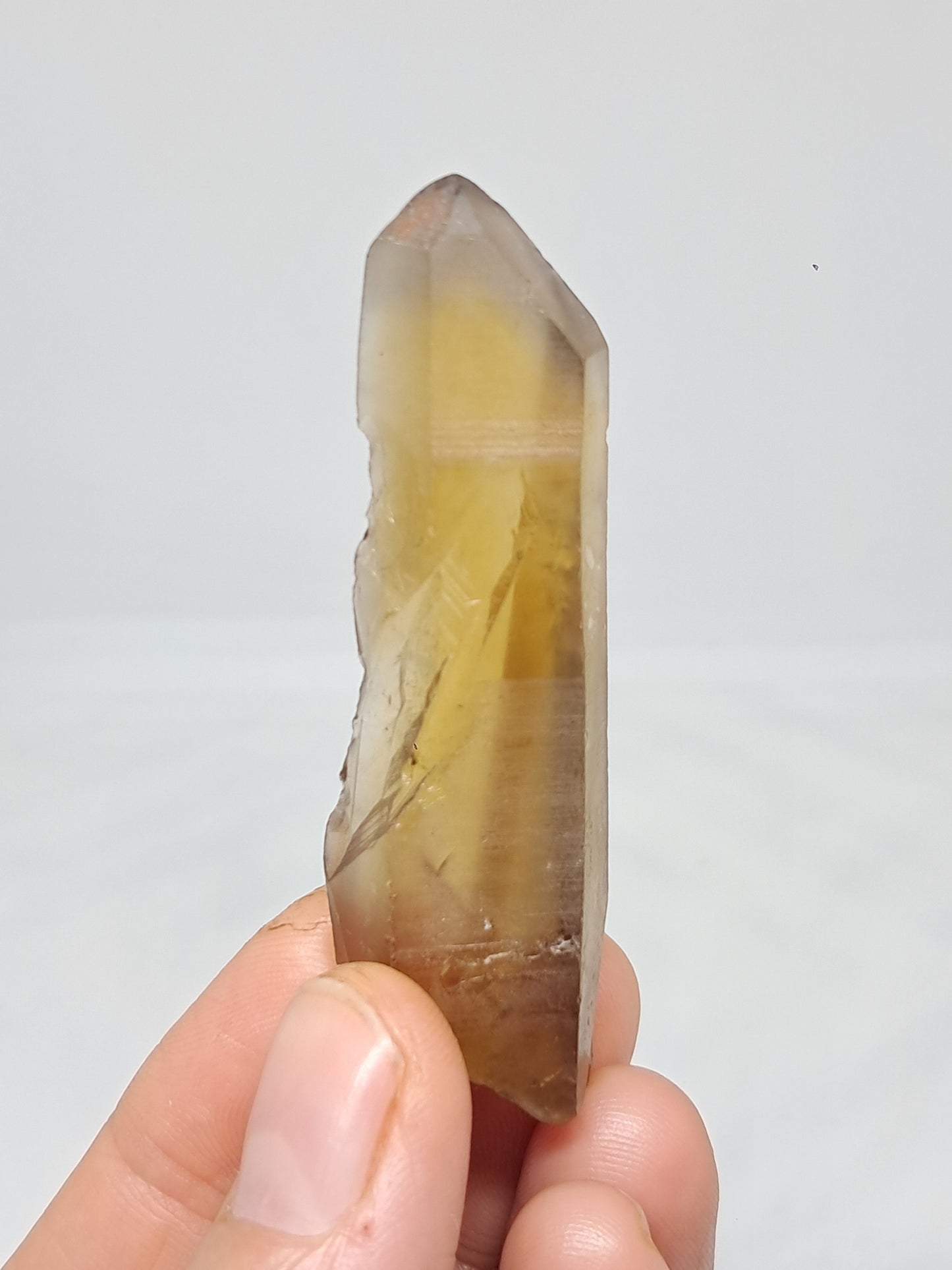 Natural Citrine Crystal (Democratic Republic of Congo) #CTN29