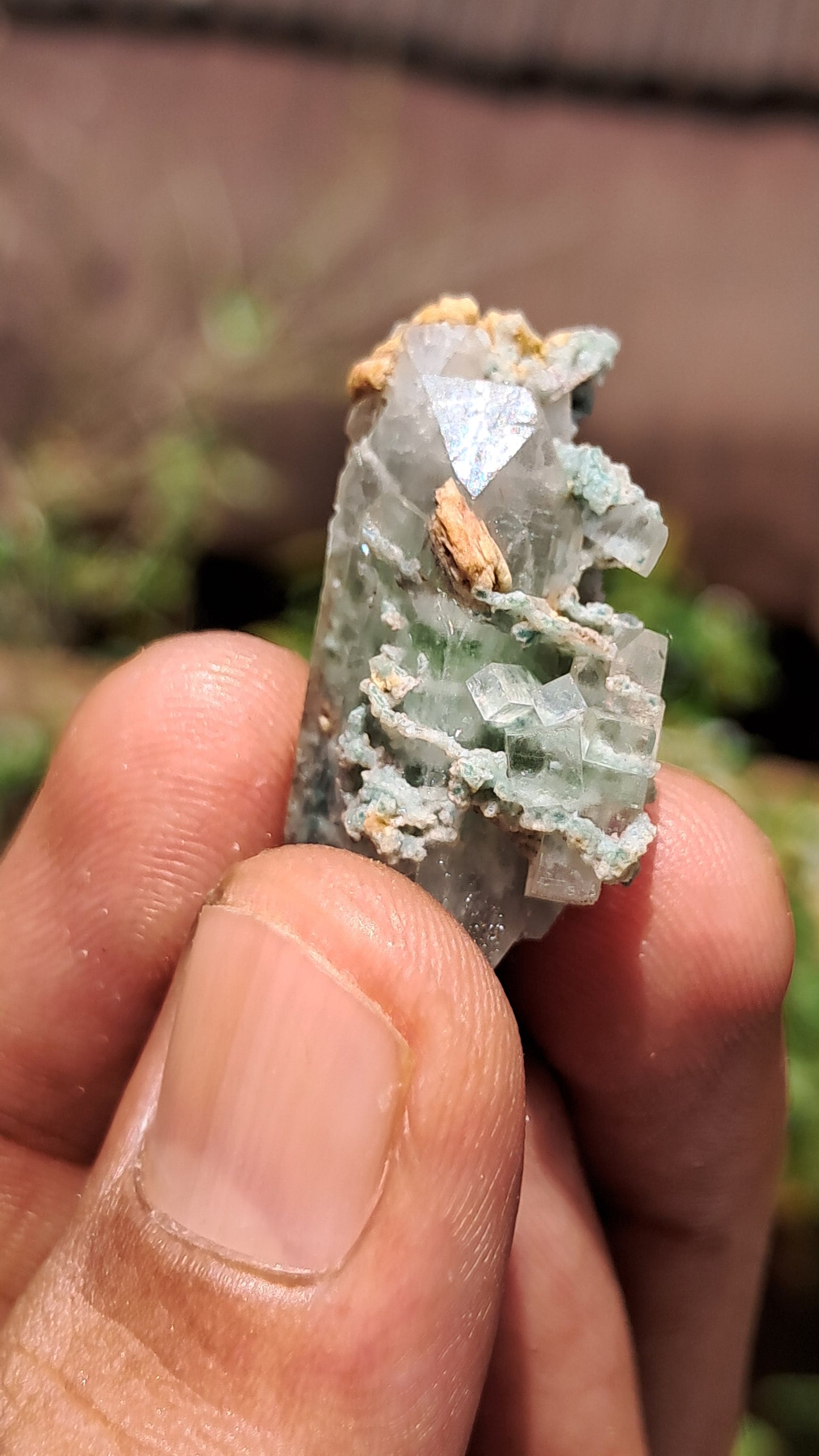 Green Apophyllite (Fluorapophyllite) (Ajanta) Natural Crystal | Mineral Specimen #GA25