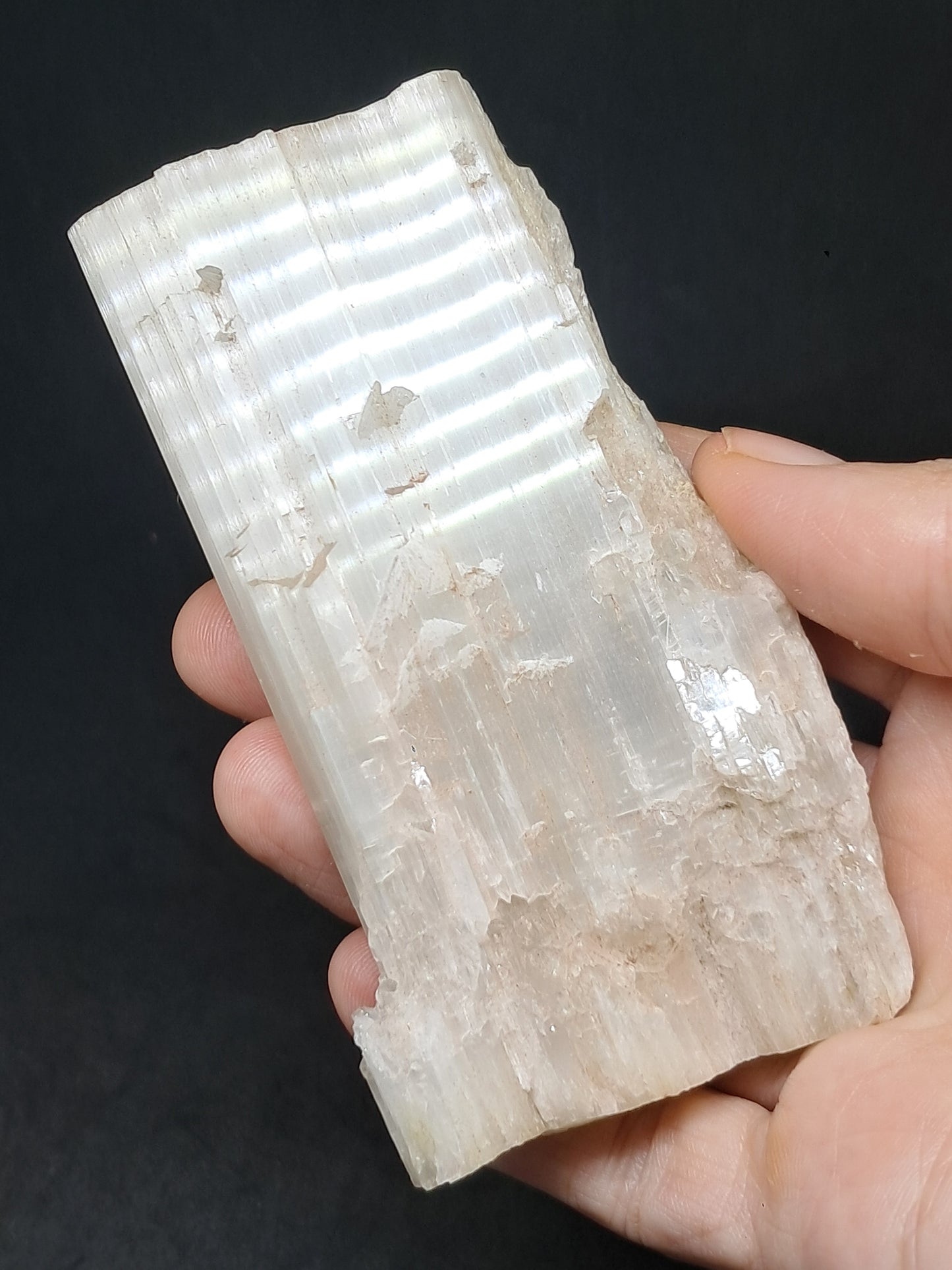 Satin Spar *Selenite* (India) Fibrous Gypsum | Mineral Specimen | Rough Crystal #SE1