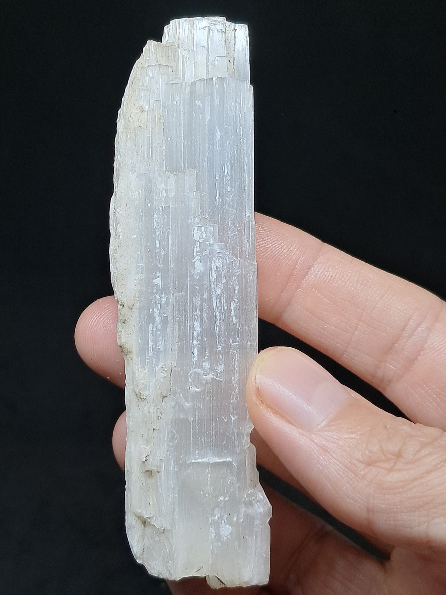 Satin Spar *Selenite* (India) Fibrous Gypsum | Mineral Specimen | Rough Crystal #SE2