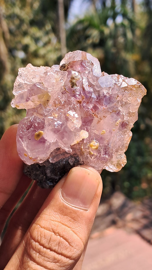 Amethyst Scepter Flower from Karur | Honeycomb Terminations | "Super Seven" inclusions | Mineral Specimen #KA185