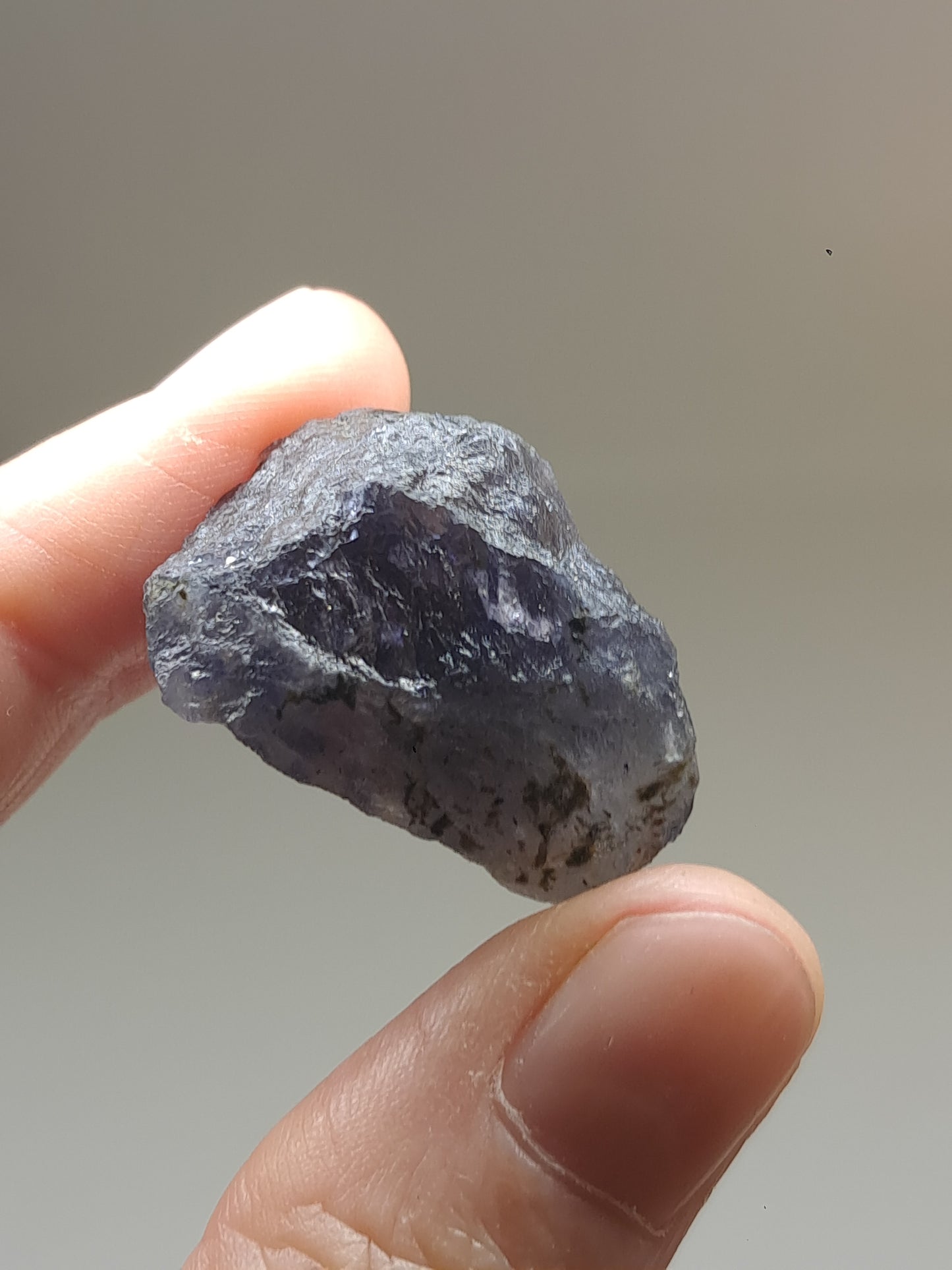 Rough Iolite Crystal w/ Hematite Inclusions (Karur) *Gem Quality* Cordierite | Excelent Pleochroism | Mineral Specimen #IO5