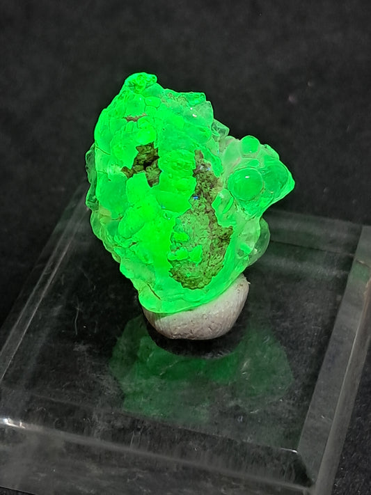 Ópalo hialita (México), piedra cristalina en bruto reactiva a los rayos UV | Ejemplar mineral n.° OH6