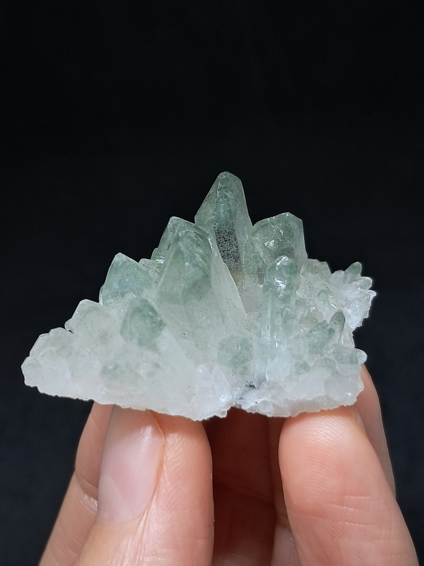 Chlorite Phantom Cluster (Kullu) Natural Crystal | Garden Chamanic Quartz #CQ76