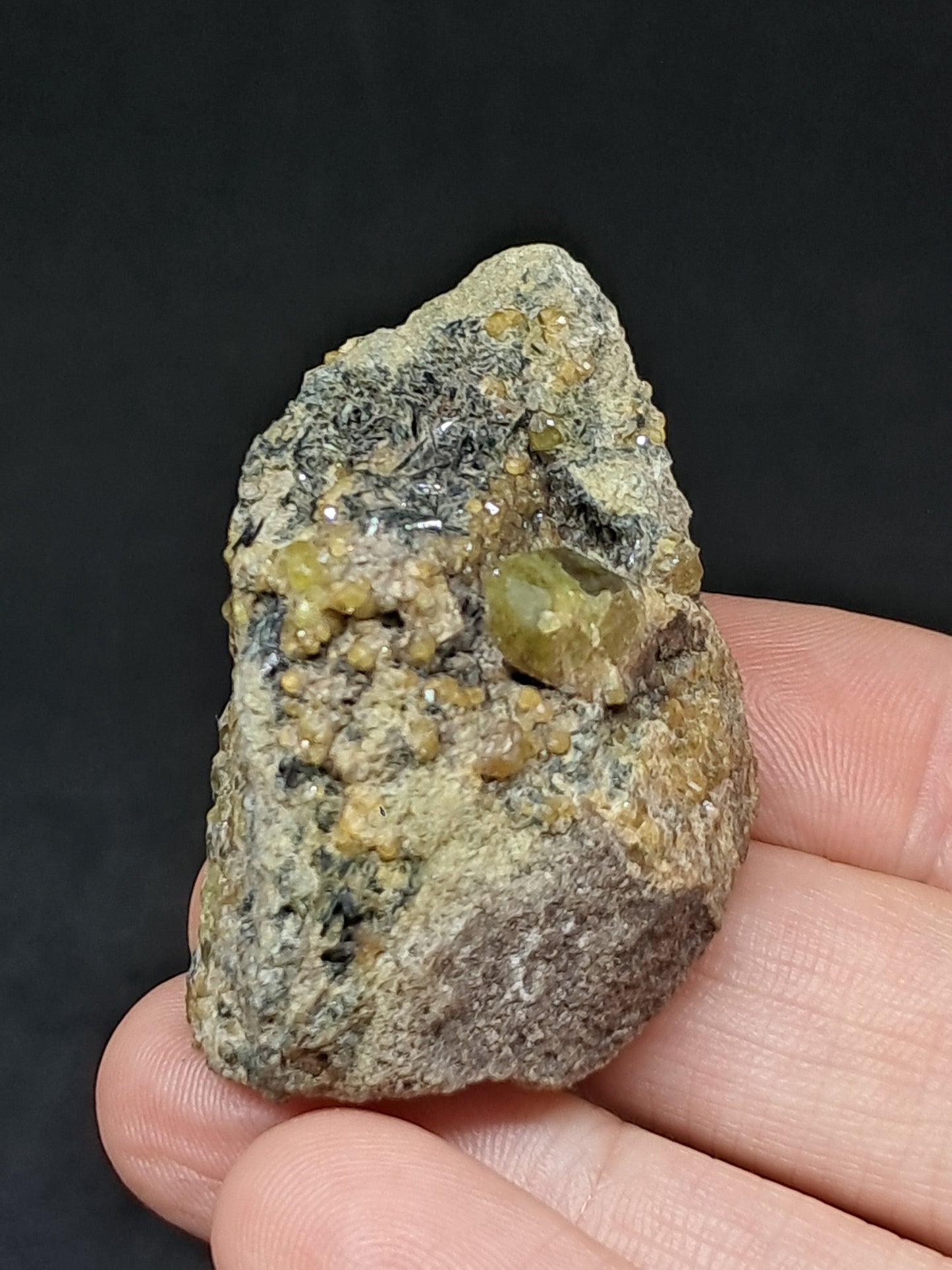 Green Garnet w/ Aegirine (Acmite) on Matrix (Mexico) Andradite Garnet Cluster |Rough Crystal Stone | Mineral Specimen #GR31