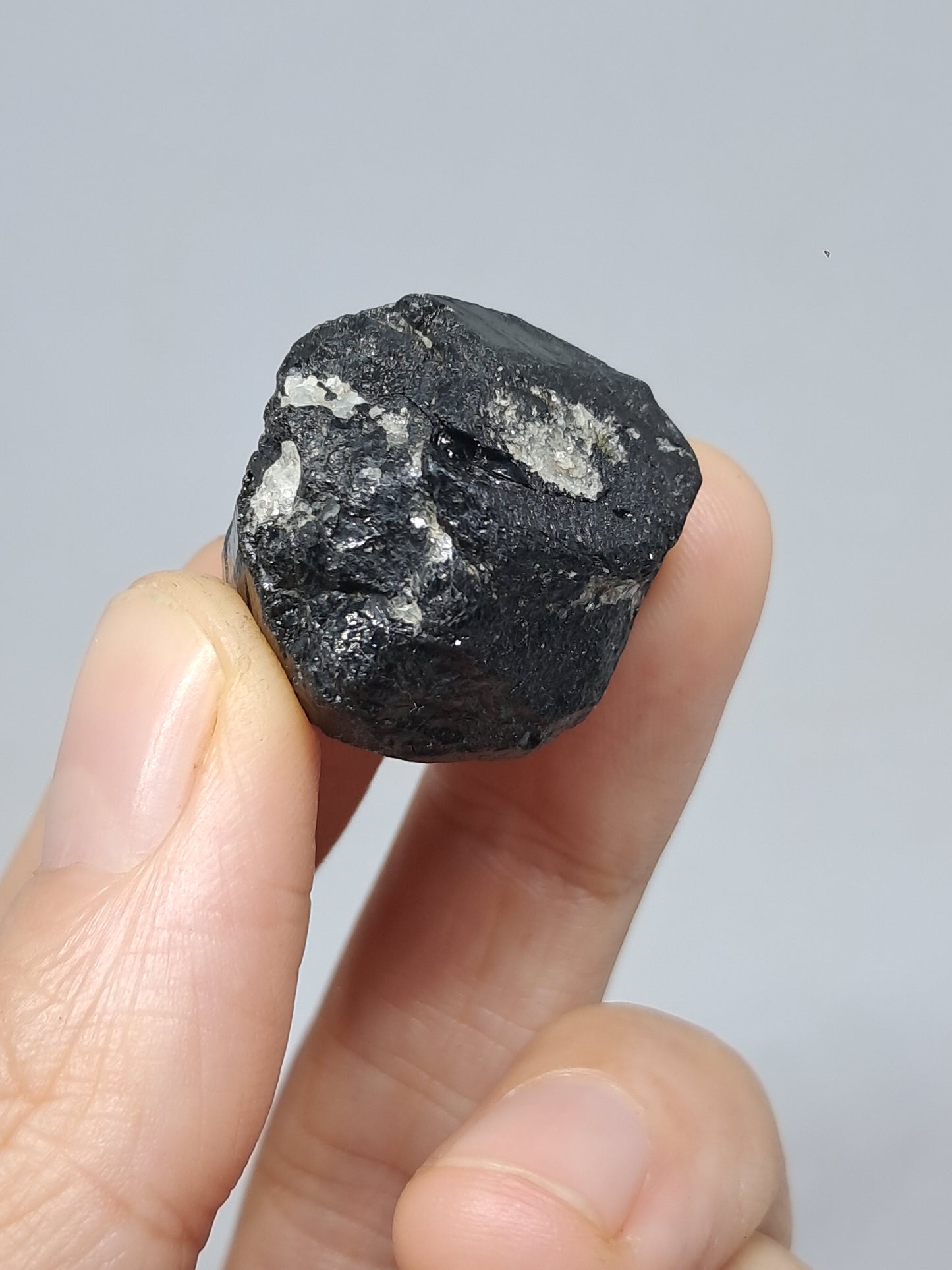 Black Tourmaline Crystal (Karnataka) Naturally Terminated | Natural Stone | Mineral Specimen #BT8