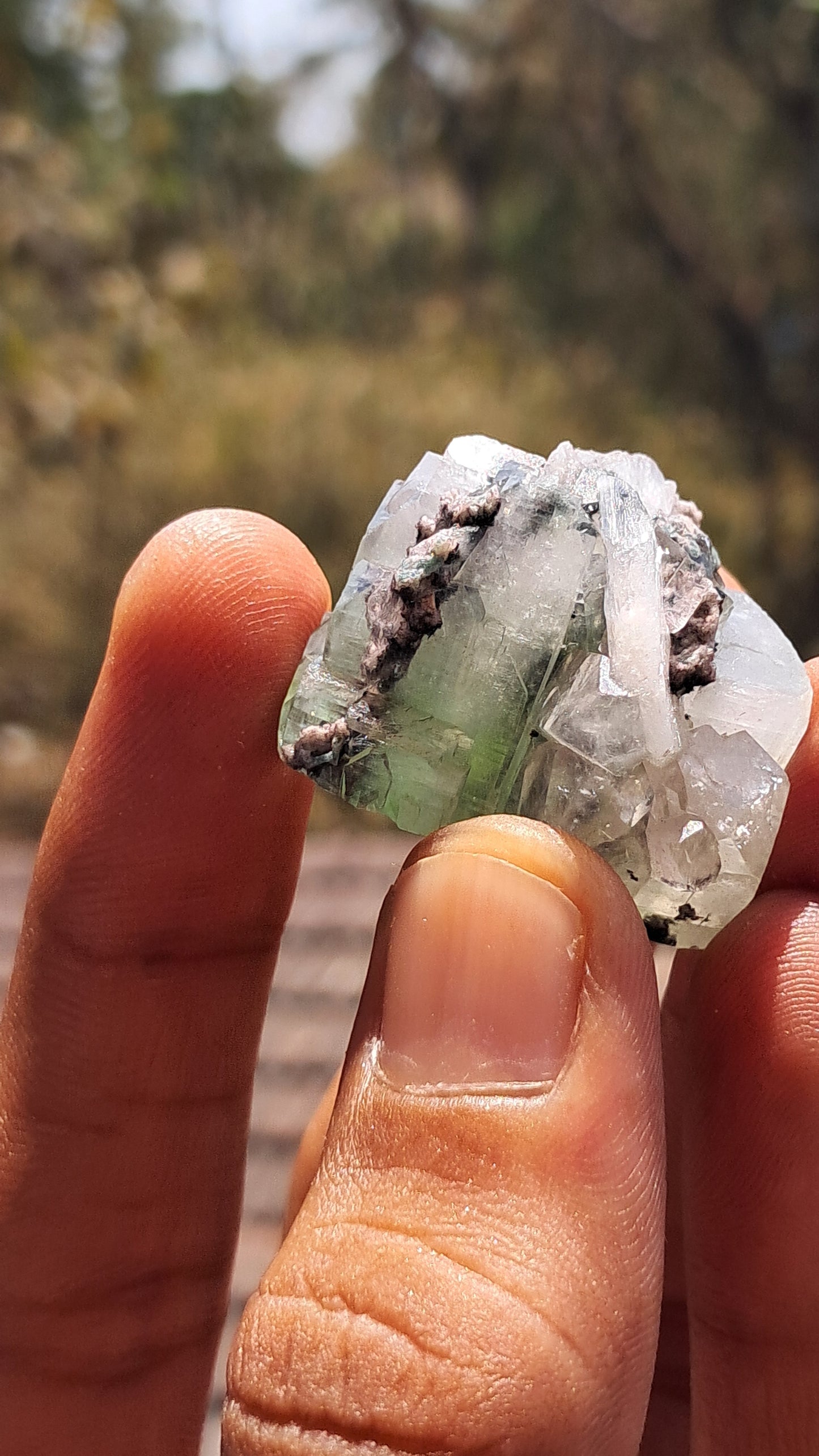 Green Apophyllite (Fluorapophyllite) (Ajanta) Natural Crystal | Mineral Specimen #GA28