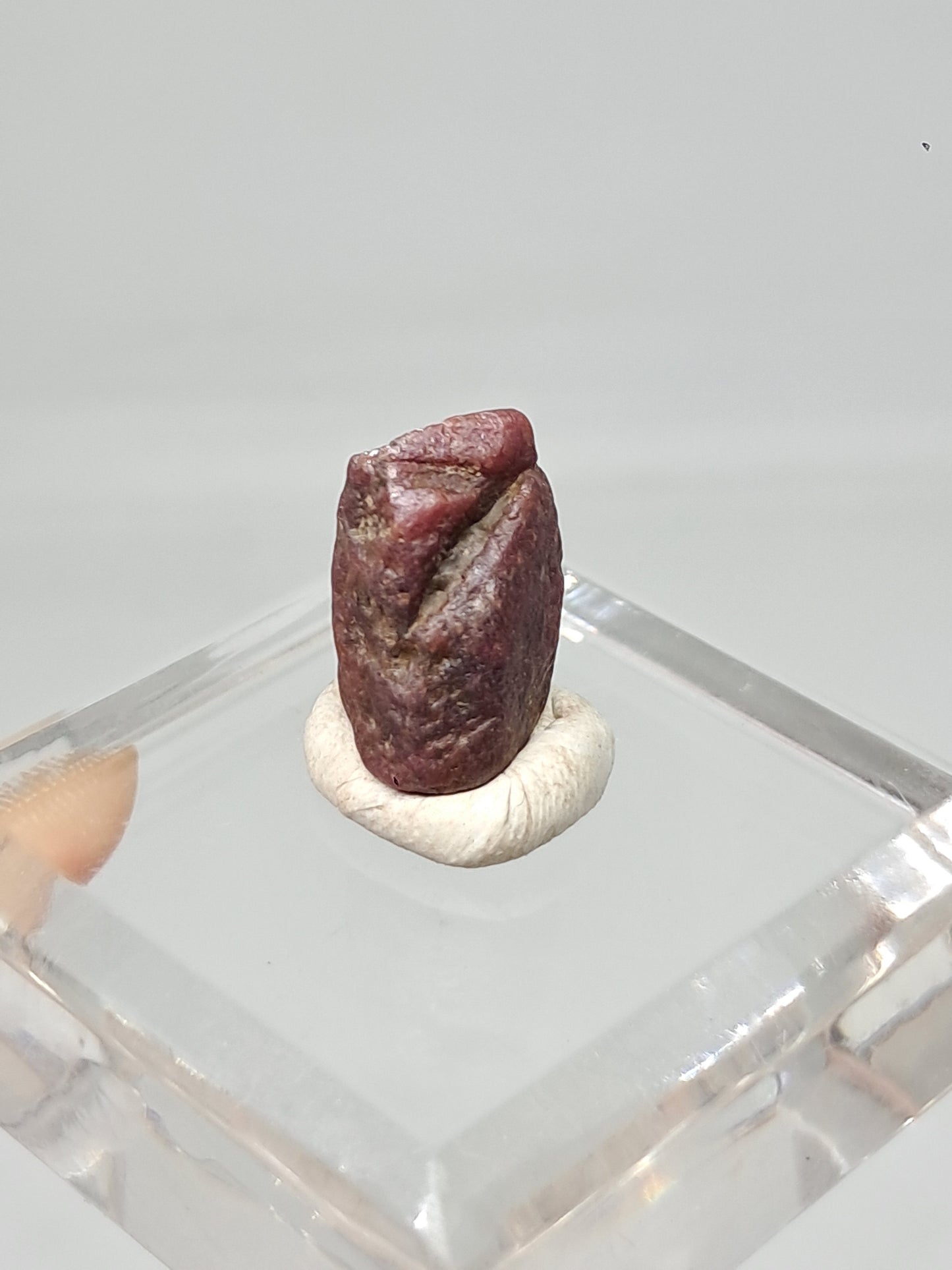 Rough Ruby Crystal (Tamil Nadu) Natural Stone | Mineral Specimen #RB19