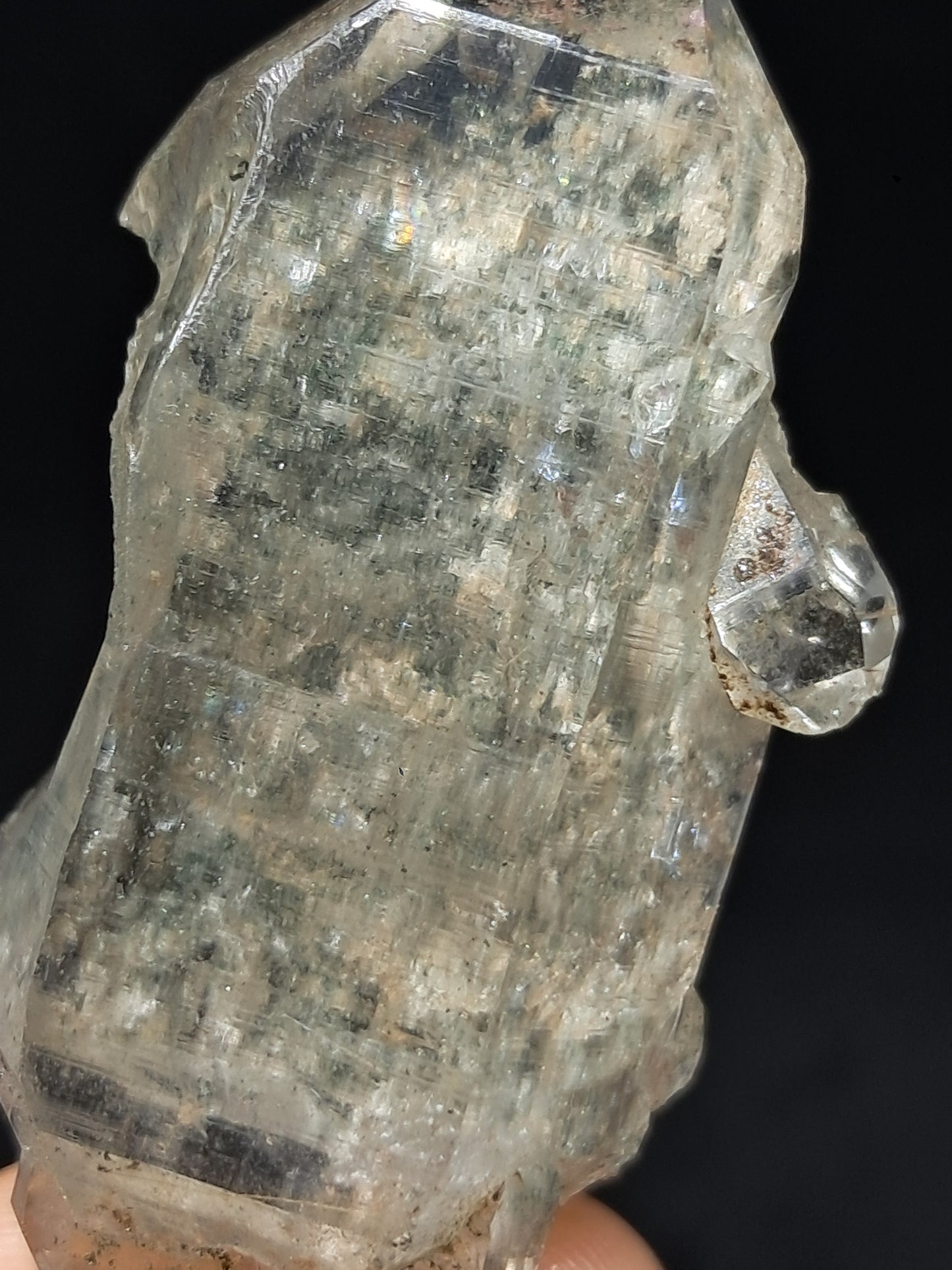 Chlorite Phantom Quartz (Kullu) Natural Crystal | Garden Chamanic #CQ80