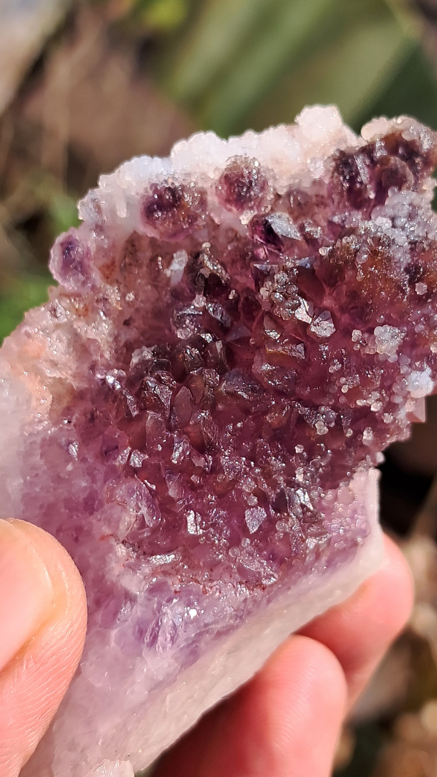 Karur Amethyst Scepter Flower w/ UV-Reactive Botryoidal Chalcedony on Quartz| Rare Formation | Mineral Specimen #KA183