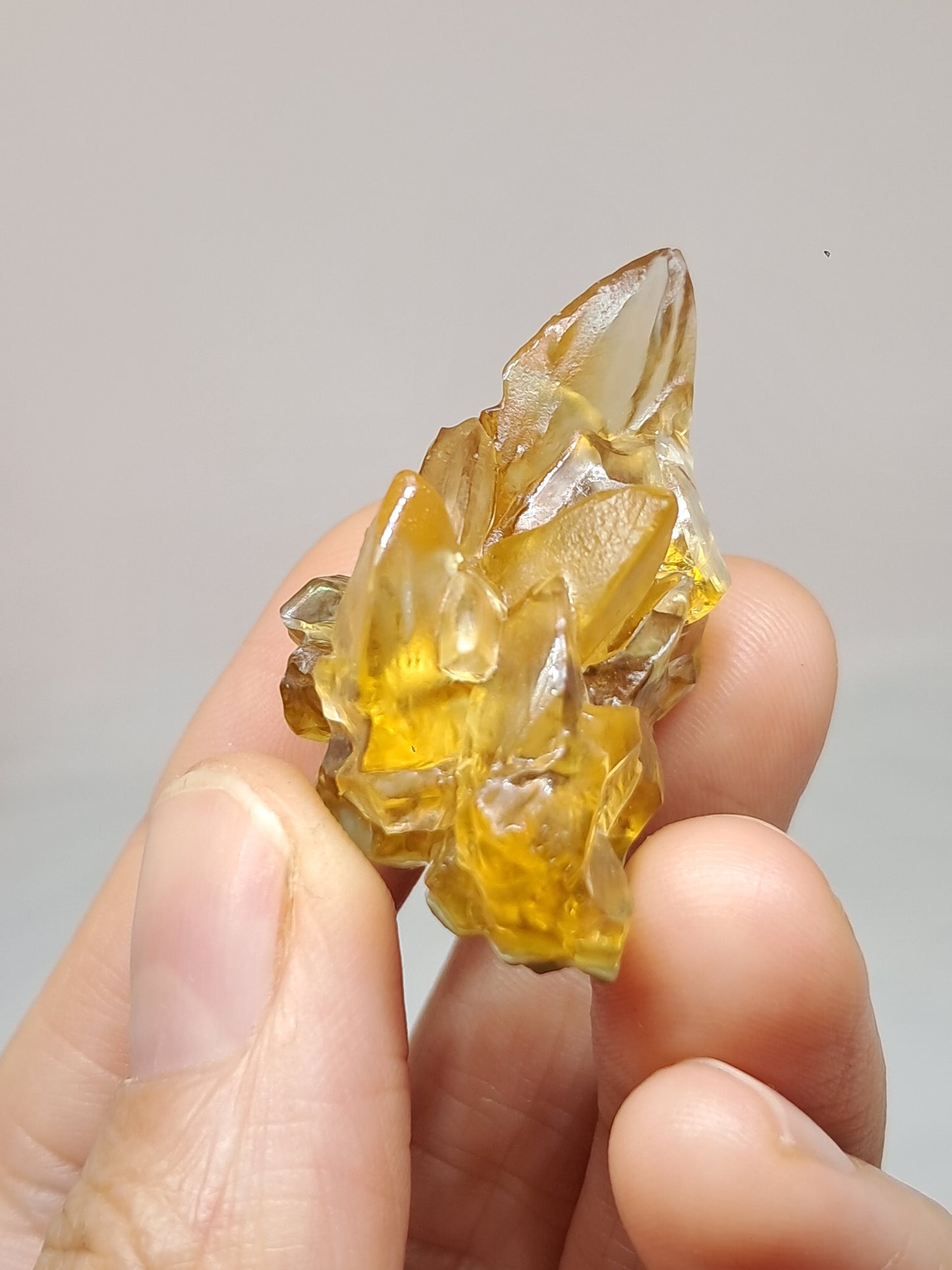 Calcita amarilla miel (Maharashtra) Formación de diente de perro | Cristal natural | Ejemplar mineral n.° CA25