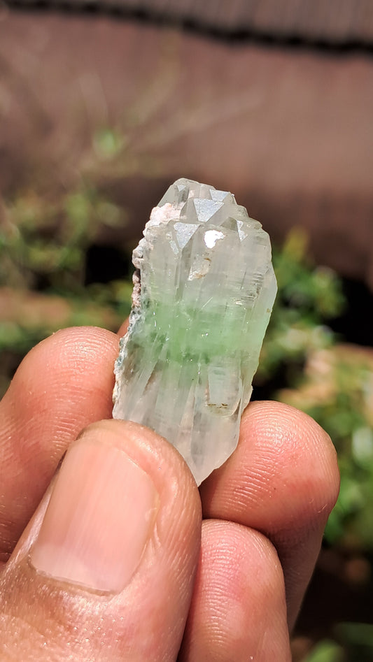 Green Apophyllite (Fluorapophyllite) (Ajanta) Natural Crystal | Mineral Specimen #GA31