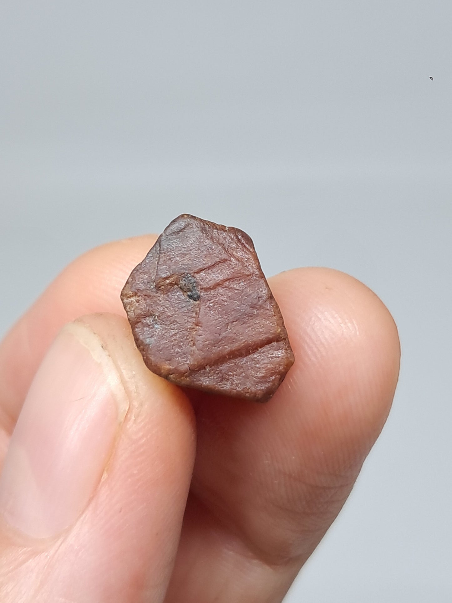 Rough Ruby Crystal w/ Record Keeper (Tamil Nadu) Natural Stone | Mineral Specimen #RB17