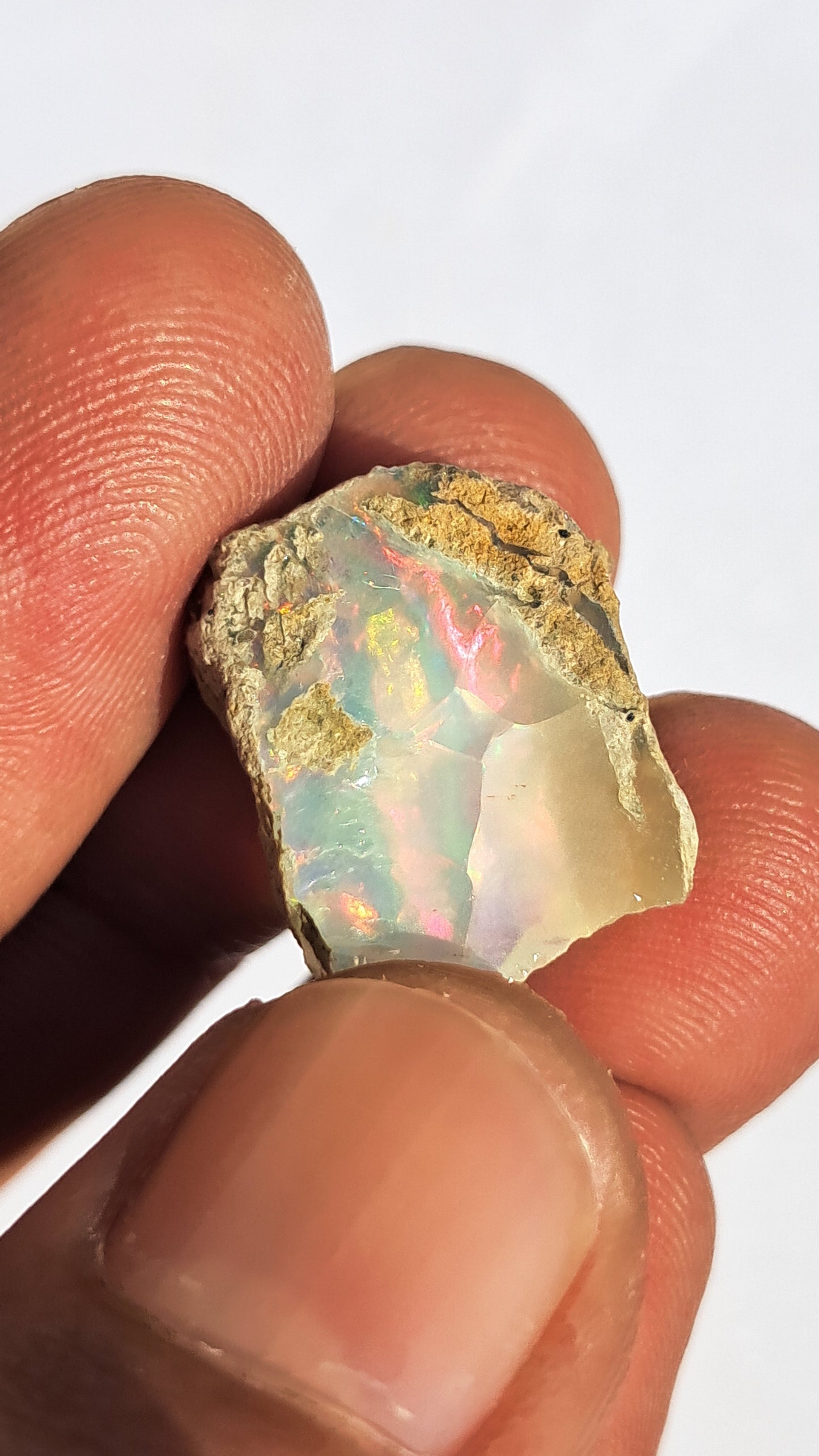 Natural Ethiopian Opal Rough | White Hydrophane Opal with Bright Play of Color #OP9