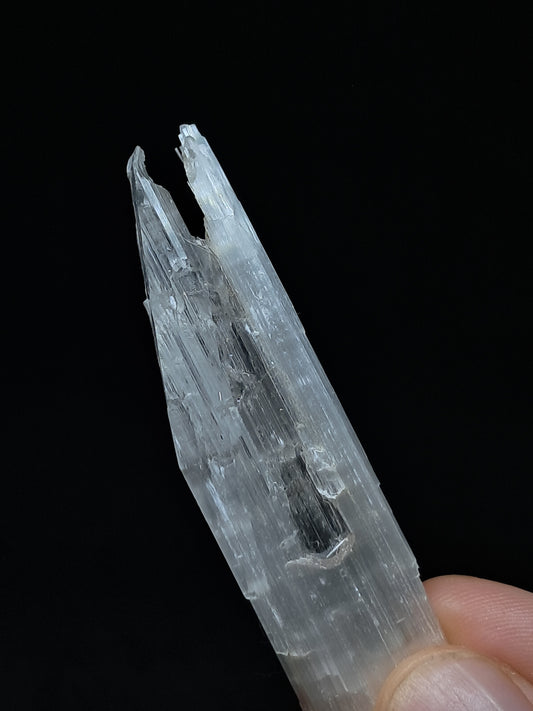 Satin Spar *Selenite* (India) Fibrous Gypsum | Mineral Specimen | Rough Crystal #SE5