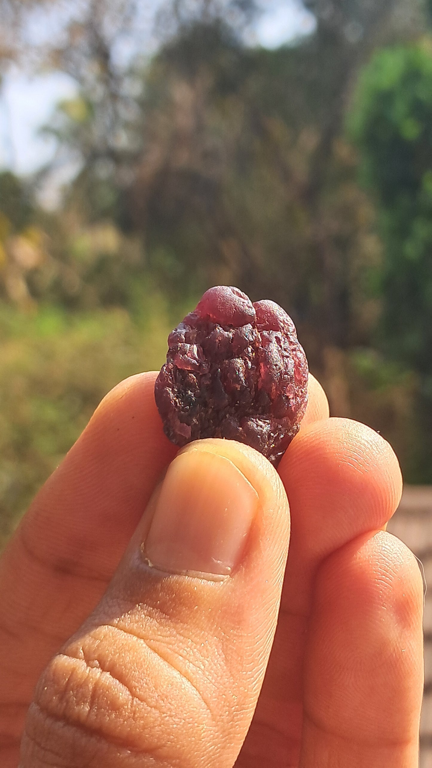 Granate rojo (Karur) | Pulido por el río | Piedra natural #RG10