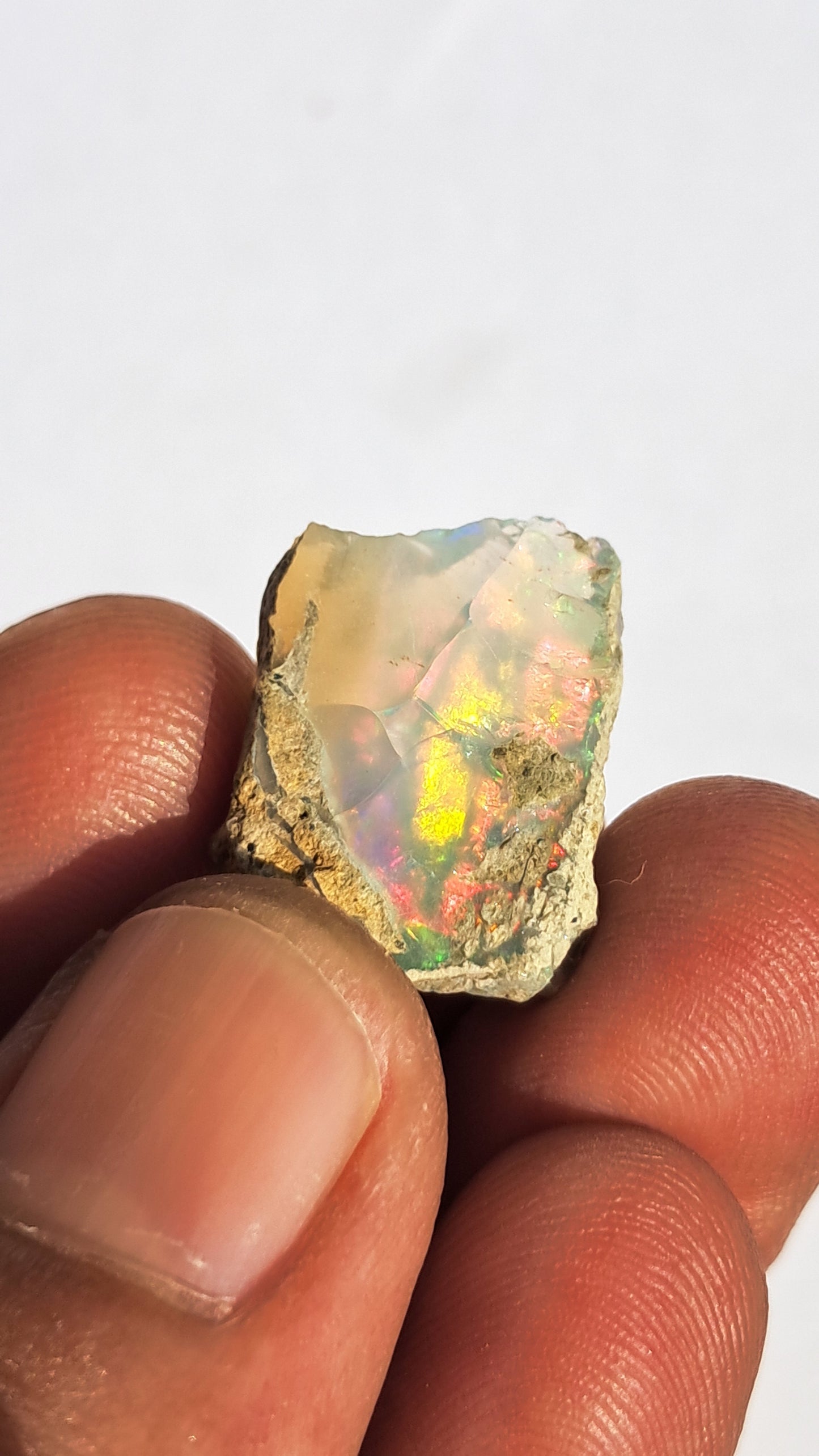 Natural Ethiopian Opal Rough | White Hydrophane Opal with Bright Play of Color #OP9