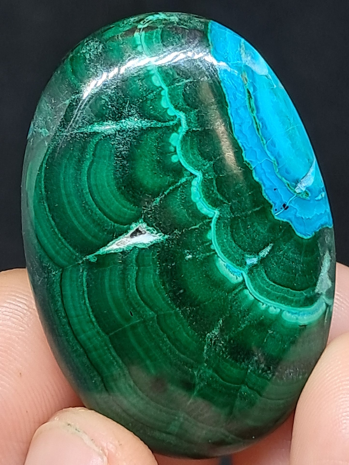 Chrysocolla Malachite Palmstone | Polished Natural Stone | Good Quality #CM25