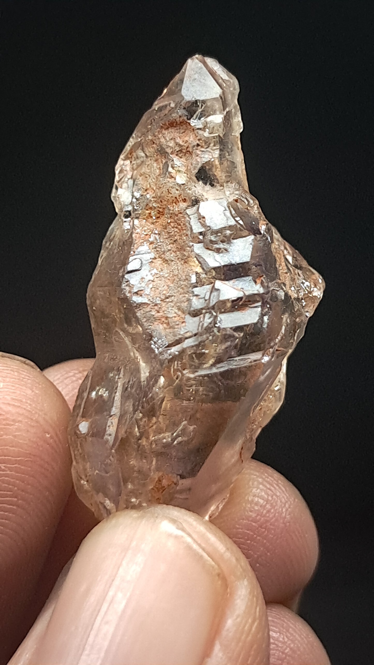 Smokey Amethyst Biterminated Scepter (Karur) Raw Natural Crystal | Mineral Specimen #EQ29