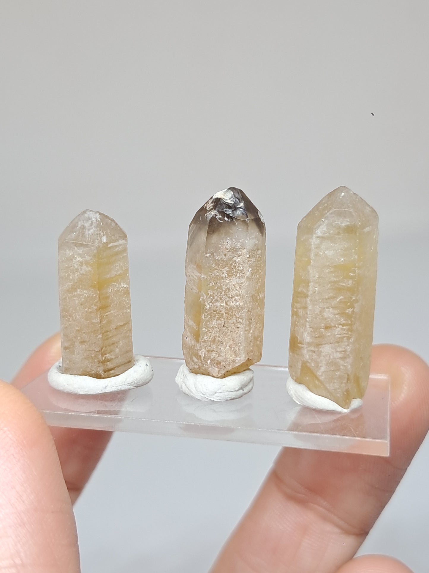 Set of 3 Natural Citrine Crystal Points w/ Phantoms (Karur) #CTN35